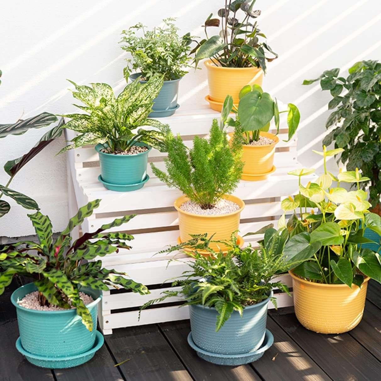 INKULTURE Plastic Round Flower Pots with Tray for Home Planters, Terrace, Garden Etc | Pack of 05 | Multicolor | Size 8 Inch | for Home Indoor & Outdoor Gardening Plants 6