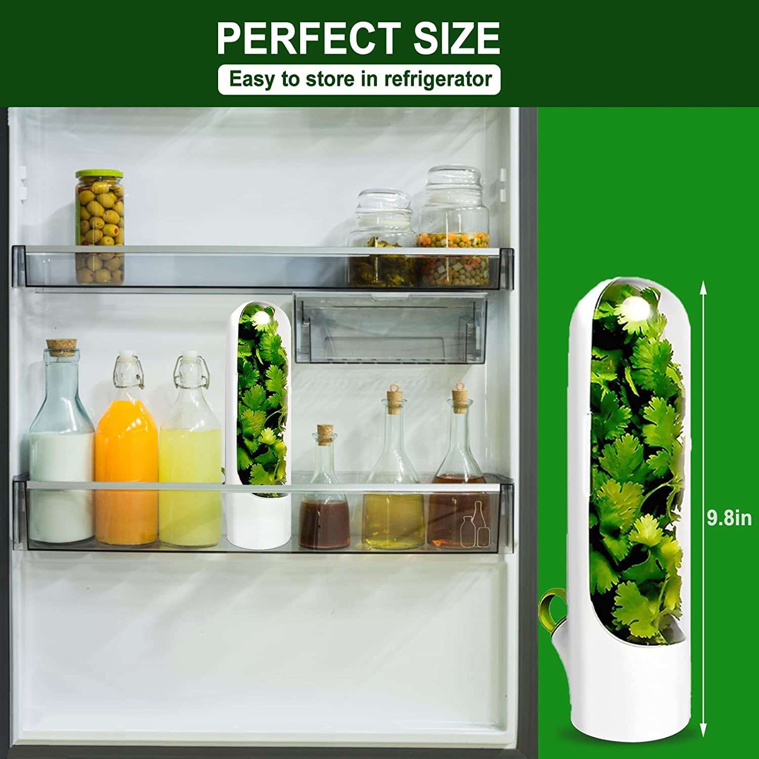 Herb Savor Pod, Herb Keeper, 9.8 Inch Herb Storage Container for fridge, Keep Vegetables Fresh and Save Asparagus, Convenient Kitchen Tool for Cilantro, Mint, Parsley transparent BPA Free 6