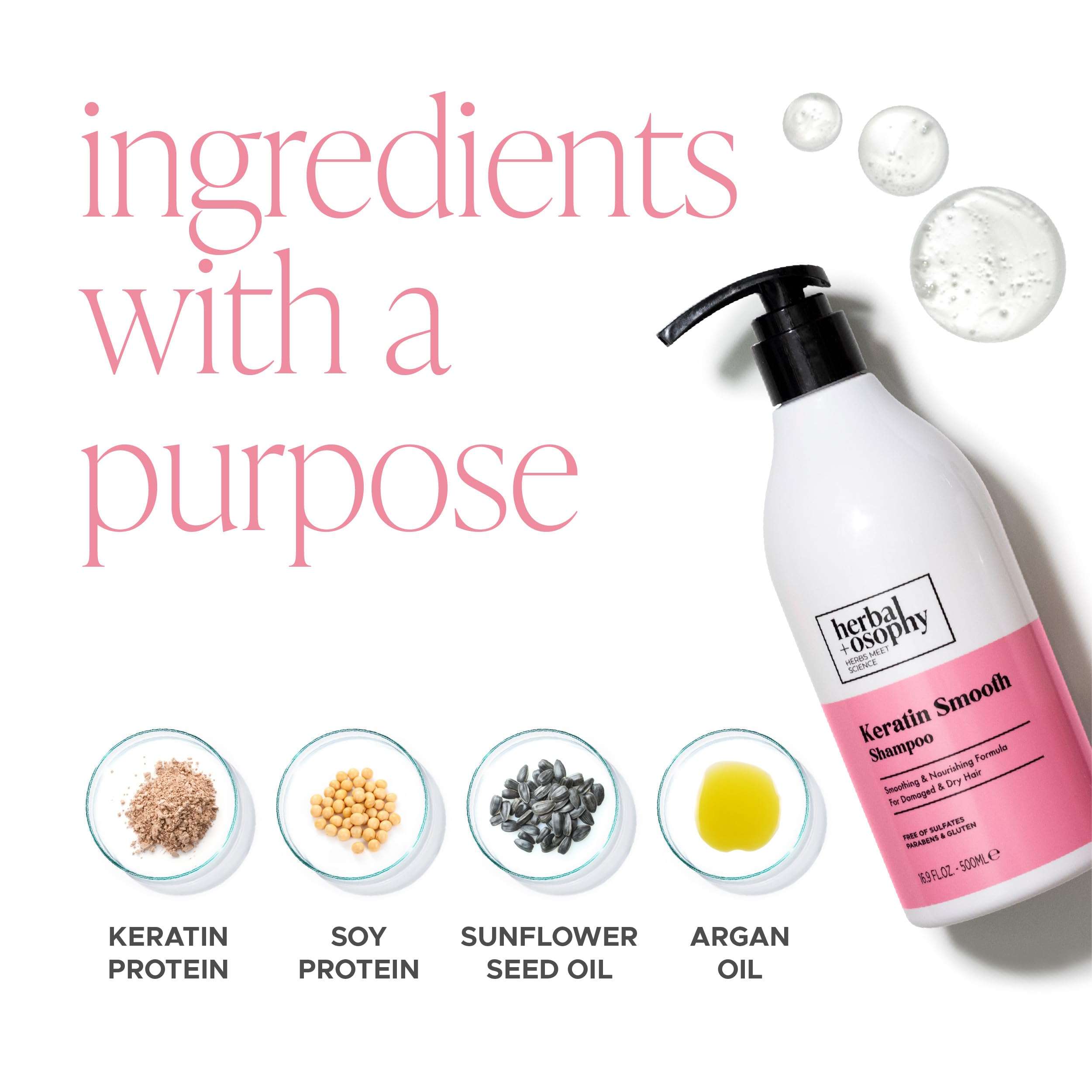 16.9 Fl Oz Purple Shampoo, Toning Shampoo for Blonde Gray Hair, Eliminates Brassy and Yellow Tones, Infused with Cocos Nucifera Oil for Both Men & Women, Free of Sulfate, Parabens and Gluten 4