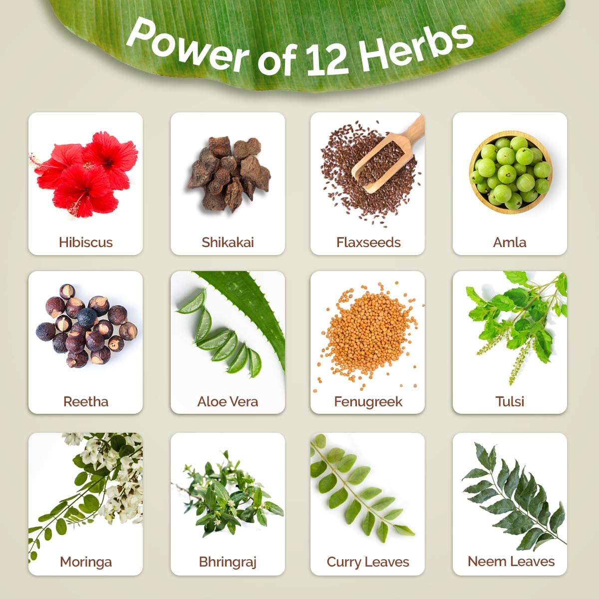 Mamaearth Kerala Thaali Cleansing Hair Mask for Thick & Long Hair with Hibiscus, Shikakai, Amla, Flaxseed- 200g | Ready To Use Thali | Gently Cleanses | Adds Shine | 100% Natural Herbs |12 Potent Herbs 6