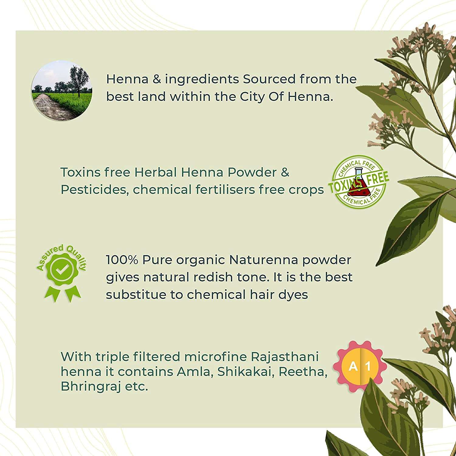 Badahair products Natural Herbal Organic Henna Mehendi Hair Powder Pack for Special Ammonia Free| Amonia Free Herbal Based| Henna Hair Colour Powder| Use Men, Women Natural - Brown (30 Gram Each, 2) 6