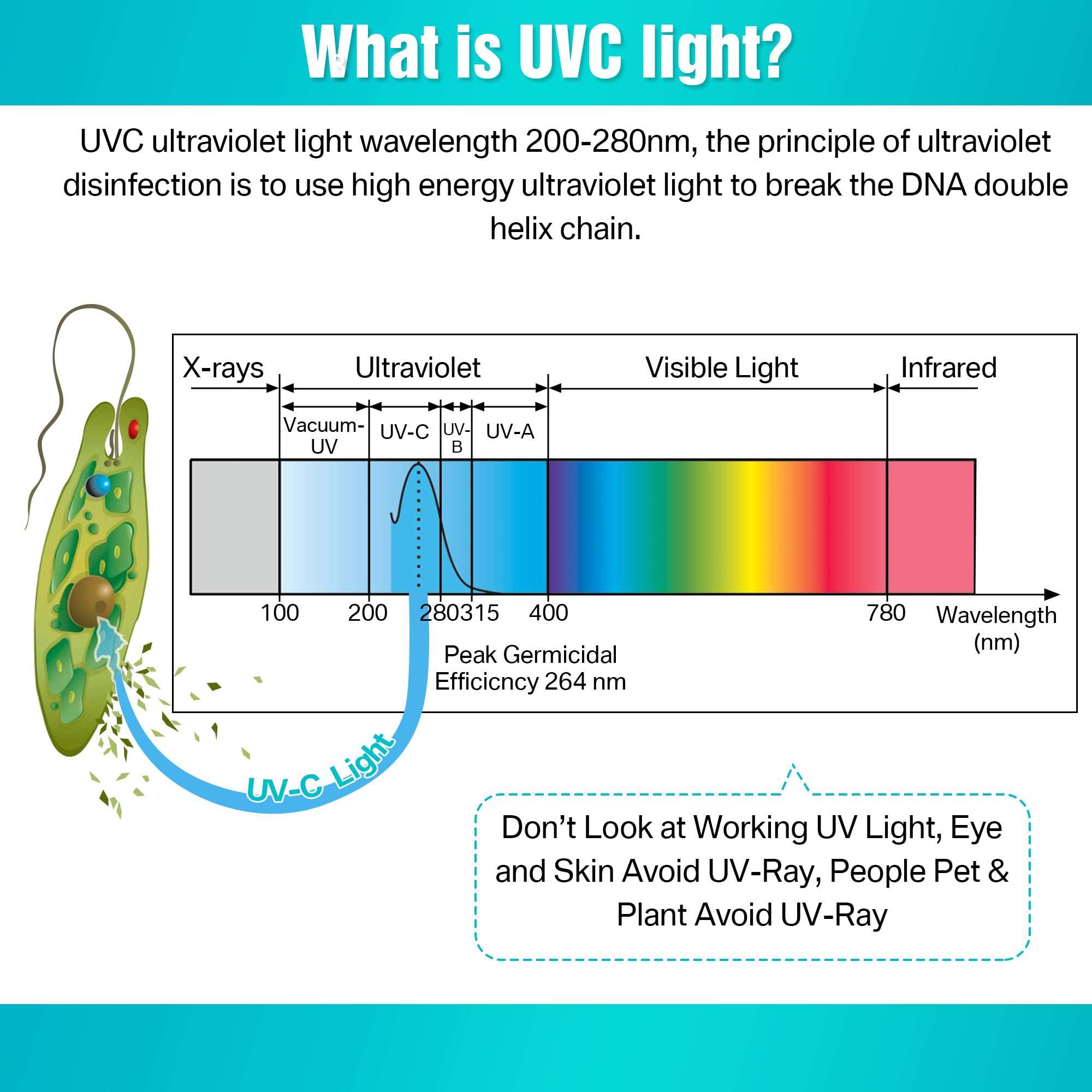 Qualirey 1 Pack UV Light with Ozone, 110V UVC Double Germicidal Lamp Including ON/Off Switch Cord and Plug, 253.7nm Wavelength UVC Lamp with Connector and Screw Tools for Closet Shoe Cabinet (8w) 6