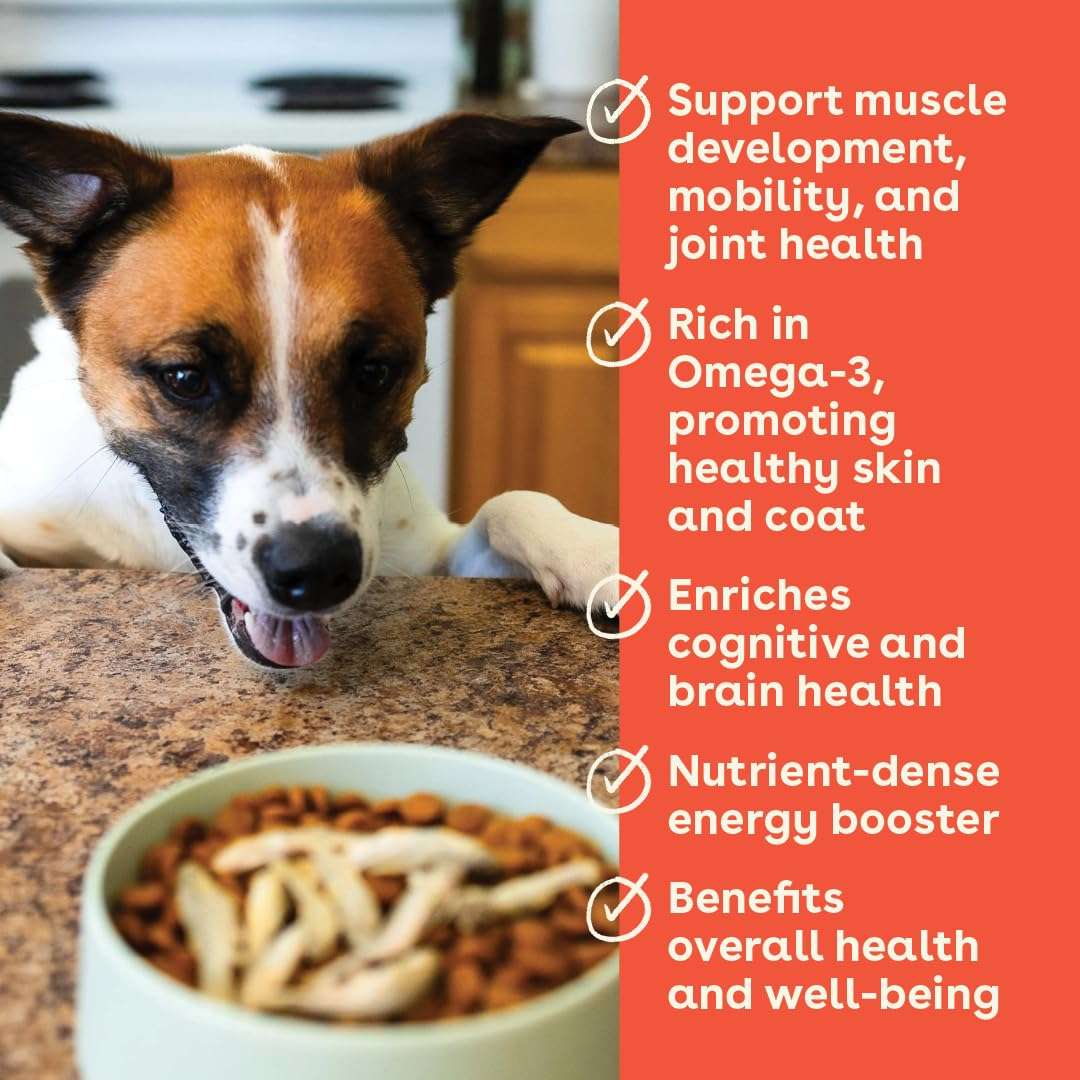 Pupford Freeze Dried Minnows for Dogs & Puppies - Healthy, Natural, Single Ingredient Dog Treats - Made in USA (2.8 oz) 4