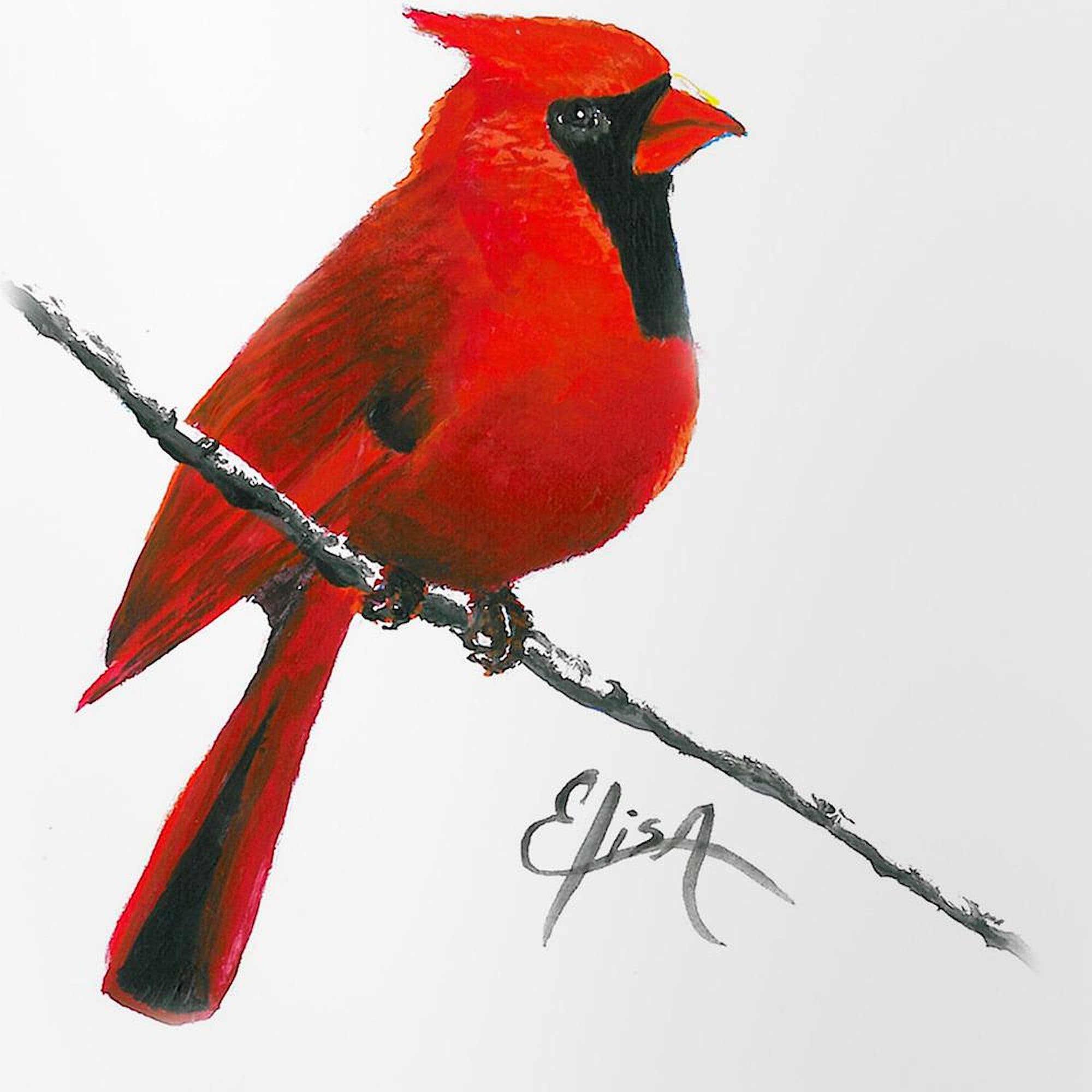 CafePress Cardinal (2) Pint Glass, 16 oz. Drinking Glass 3