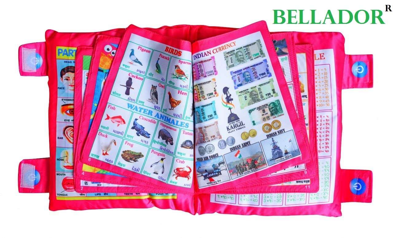 BELLADOR™ Silk Cushion Book Educational Toys for Kids 5 Years | Learning Toys for 3 Year Old | Toys for Learning Pillow Book with English and Hindi Alphabets, Numbers, Animals Names Color (Pink) 3