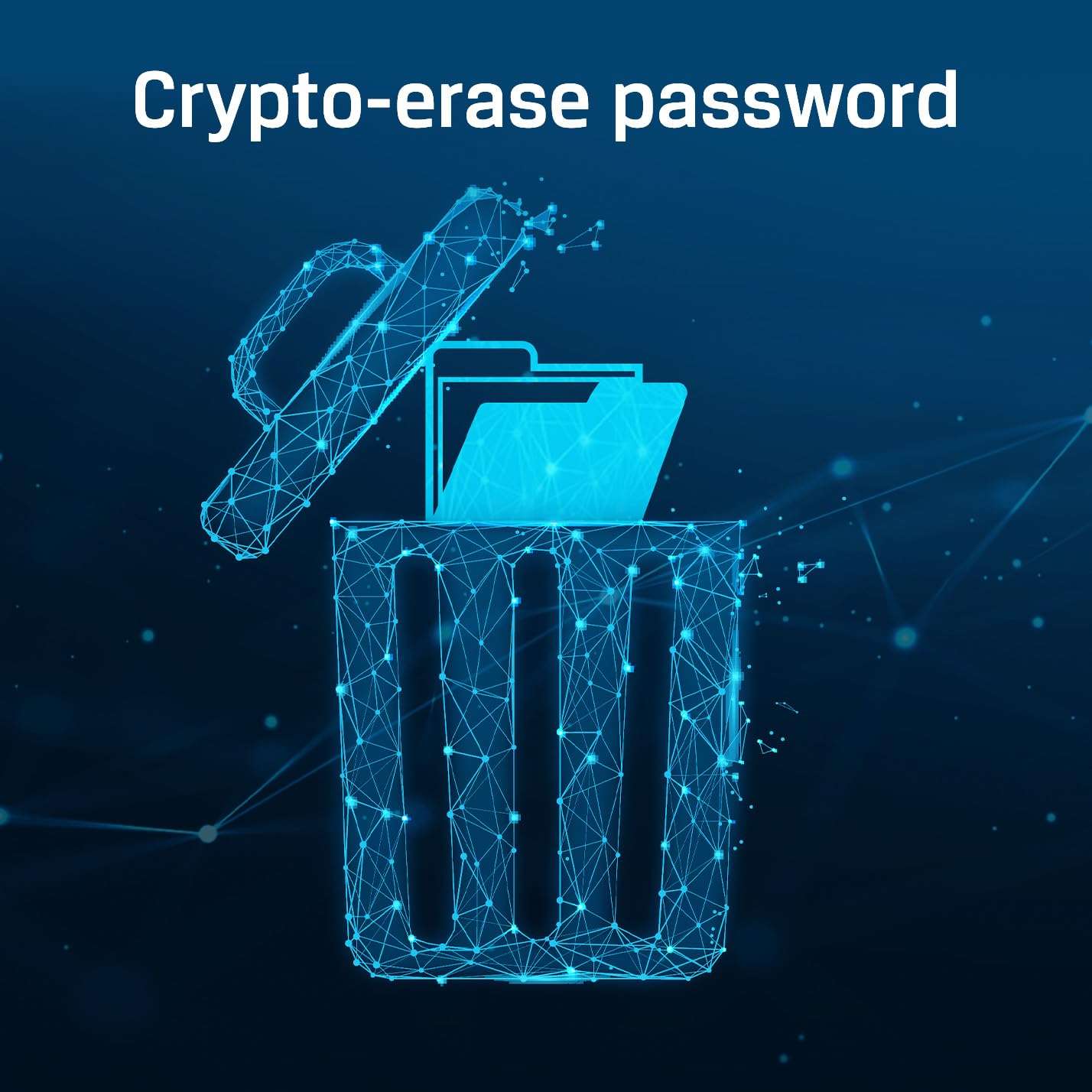 Kingston Ironkey D500S 32GB Encrypted Flash Drive | Dual Hidden Partition | FIPS 140-3 Level 3 | XTS-AES 256-bit | BadUSB and Brute Force Protection | Multi-Pin Option | IKD500S/32GB 6