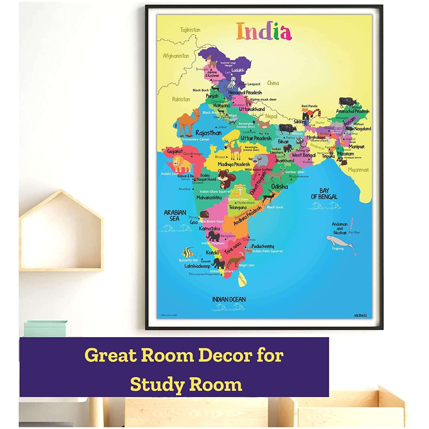 EKDALI India States of India Map with Animals Poster for Kids | Educational Learning India | india map for kids for Kids, Boys, Girls & Children Size :-16.5 X 23.4 inches (Multicolor) 3
