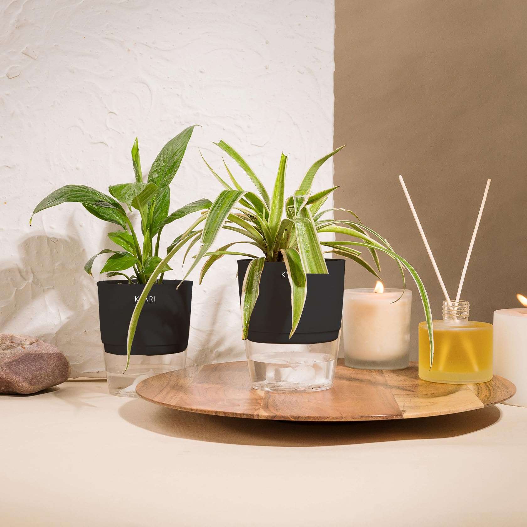 KYARI Peace Lily-Spider Combo of 2 Indoor Plants for Living Room | Live Plants | Plants with Black Pot for Home Air purifier plants | Plants for Home Decor | Plants for garden 1