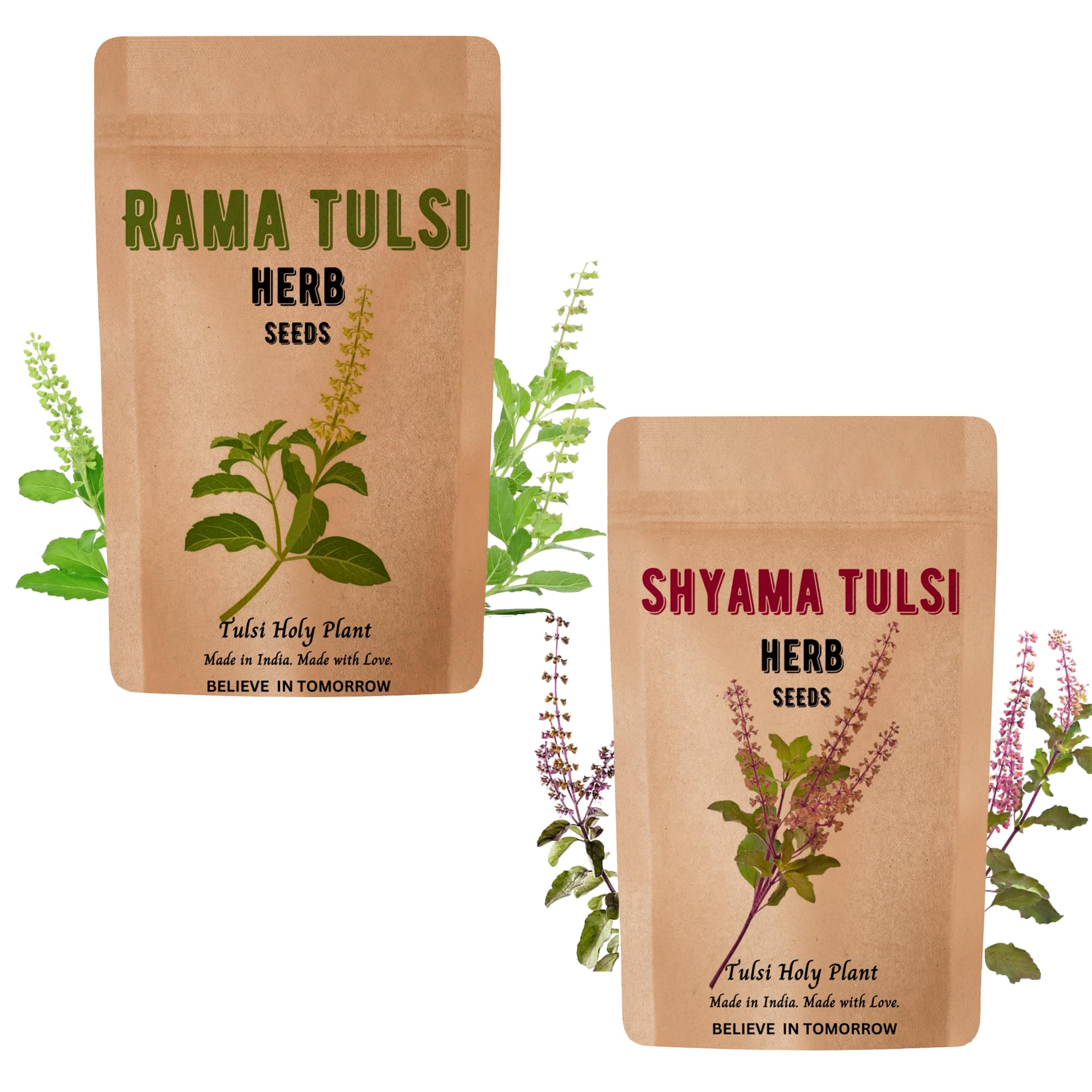 Rama & Shyama Tulsi Seeds for Planting | Tulsi Holi Plant Seeds for Gardening | Indian Tulsi Plant Seeds for Home Gardening & Planting Pack of 2
