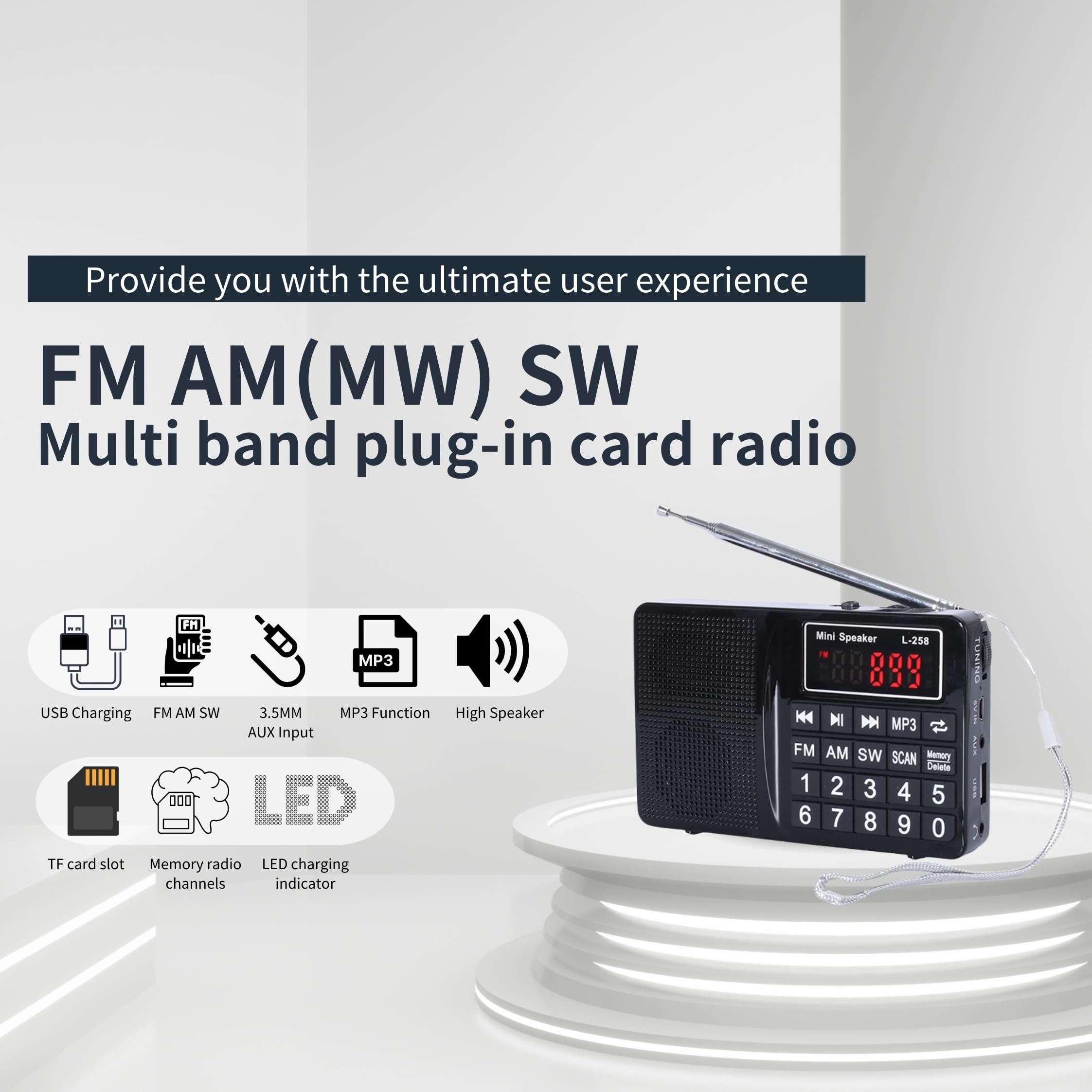 Multi-Band Plug-in Card Radio with FM, AM, SW, MP3 Player, USB Charging (Black) 3