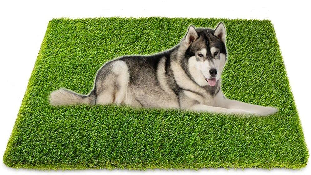 Eurotex Artificial Grass Mat for Balcony | Green Grass Carpet for Balcony | All-Weather Waterproof Fake Grass (35mm, 6.5x5.5 feet) 4