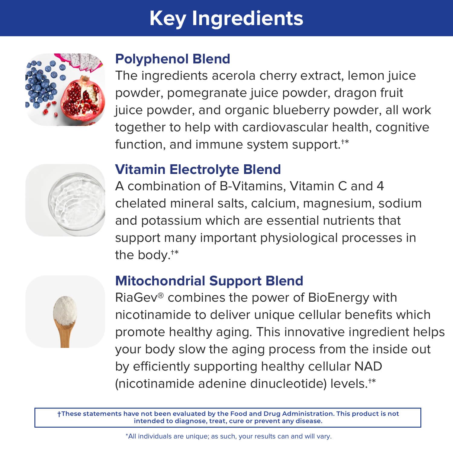 Gundry MD Vital Recharge Supplement Powder - Advanced Energy Formula with Electrolytes - Supports ATP Supply - 30 Servings 5