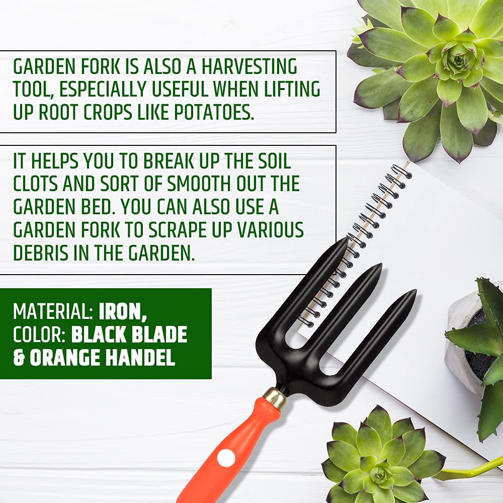 FADMAN Home Gardening Tool KIT (Garden Fork, Watering CAN, German Pruner, Scissor, Double Cut Pruner) 4