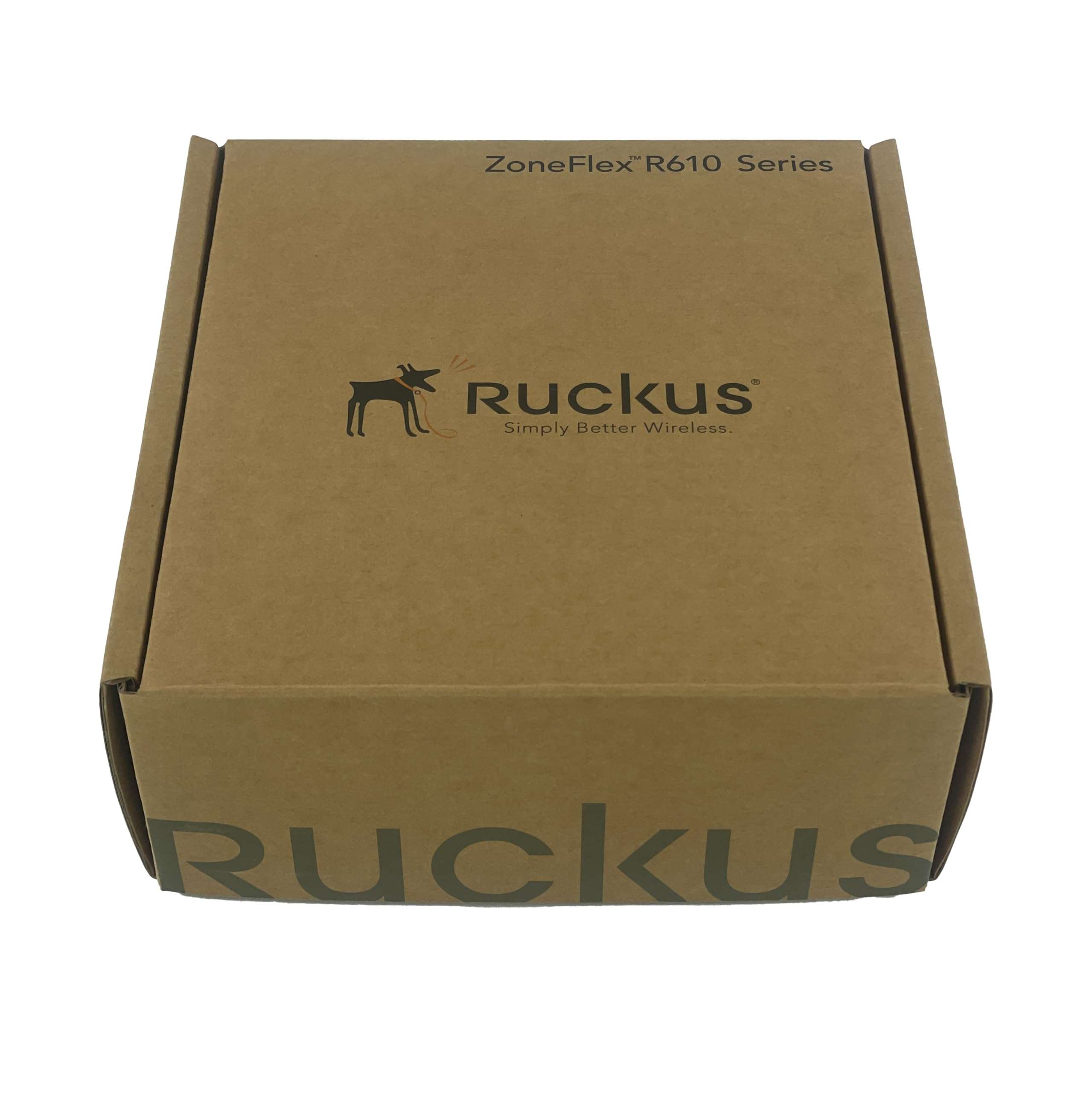 Ruckus 901-R610-US00 1