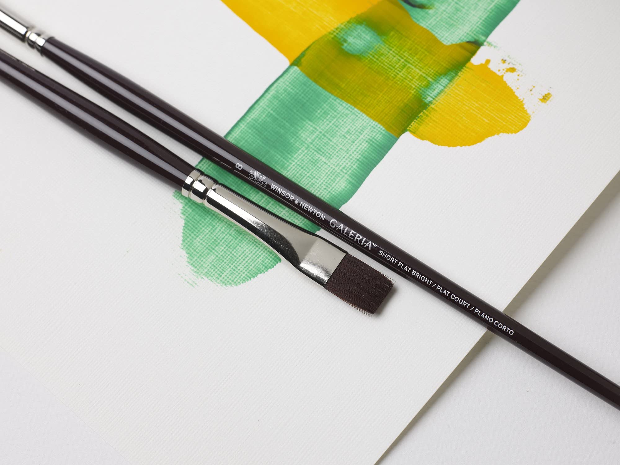 Winsor & Newton Galeria Synthetic Filament Brush for Acrylic Painting Set - Round (2) Flat (8) Filbert (4) - Pack of 3, with Maximum Colour Holding Capacity, Strong, Resilient and Flexible 5