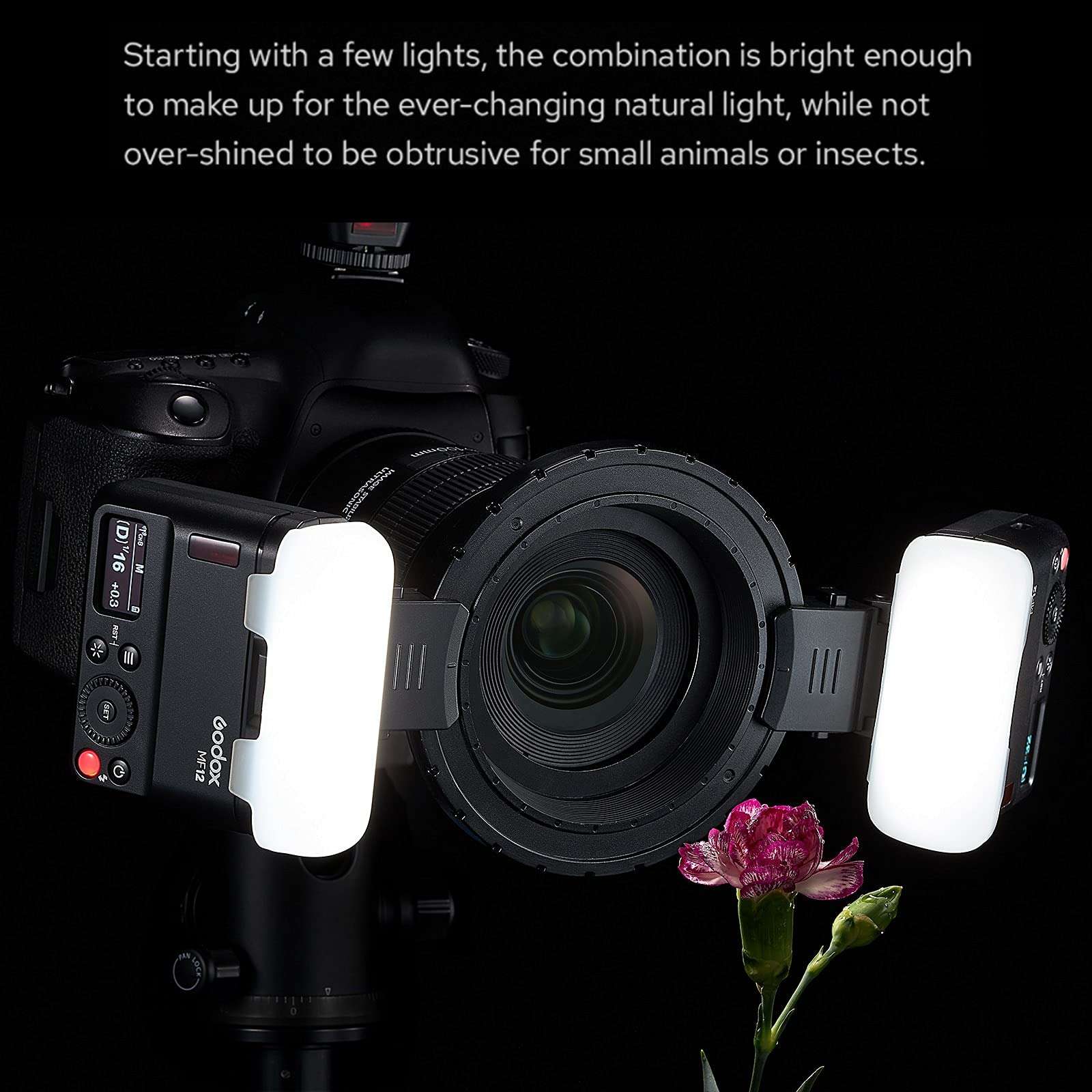 Godox MF12 MF12-K2 Macro Flash with X3-N Flash Trigger for Nikon, Off-Camera TTL Flash Speedlite 12W, 2.4G Wireless Control,TTL/M Mode,Built-in 3.7V/6.29W Lithium Battery, Flash for Nikon Cameras 5