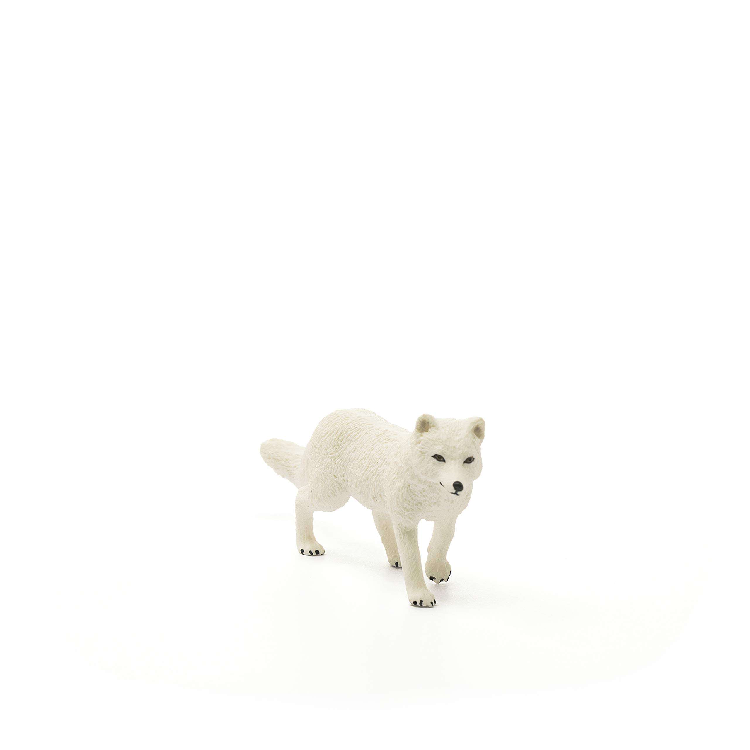 Schleich Wild Life, Animal Figurine, Animal Toys for Boys and Girls 3-8 Years Old, Arctic Fox 2