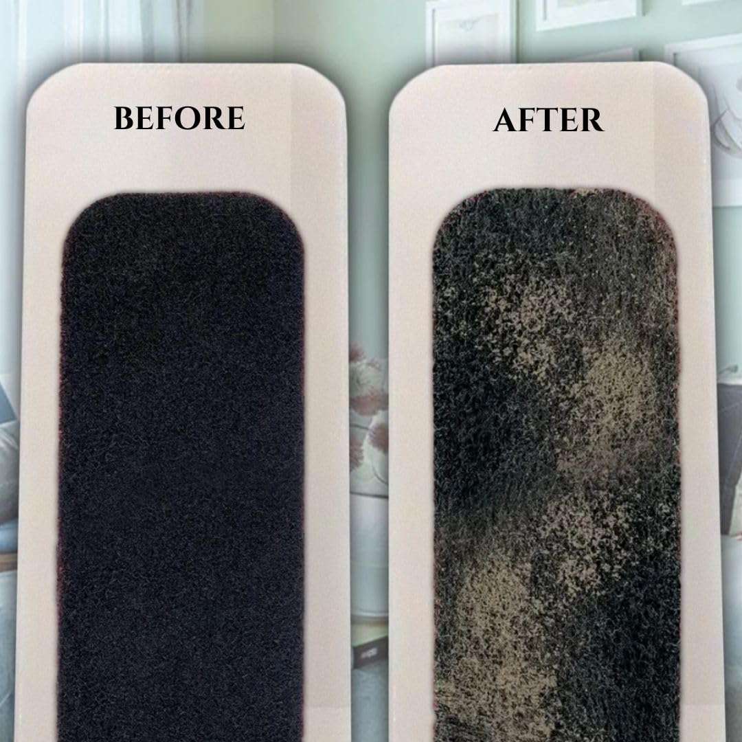 CEILING FAN FILTERS | ACTIVATED COCONUT PUREBREATH SHELL CARBON FILTER (Pack of 6) 6