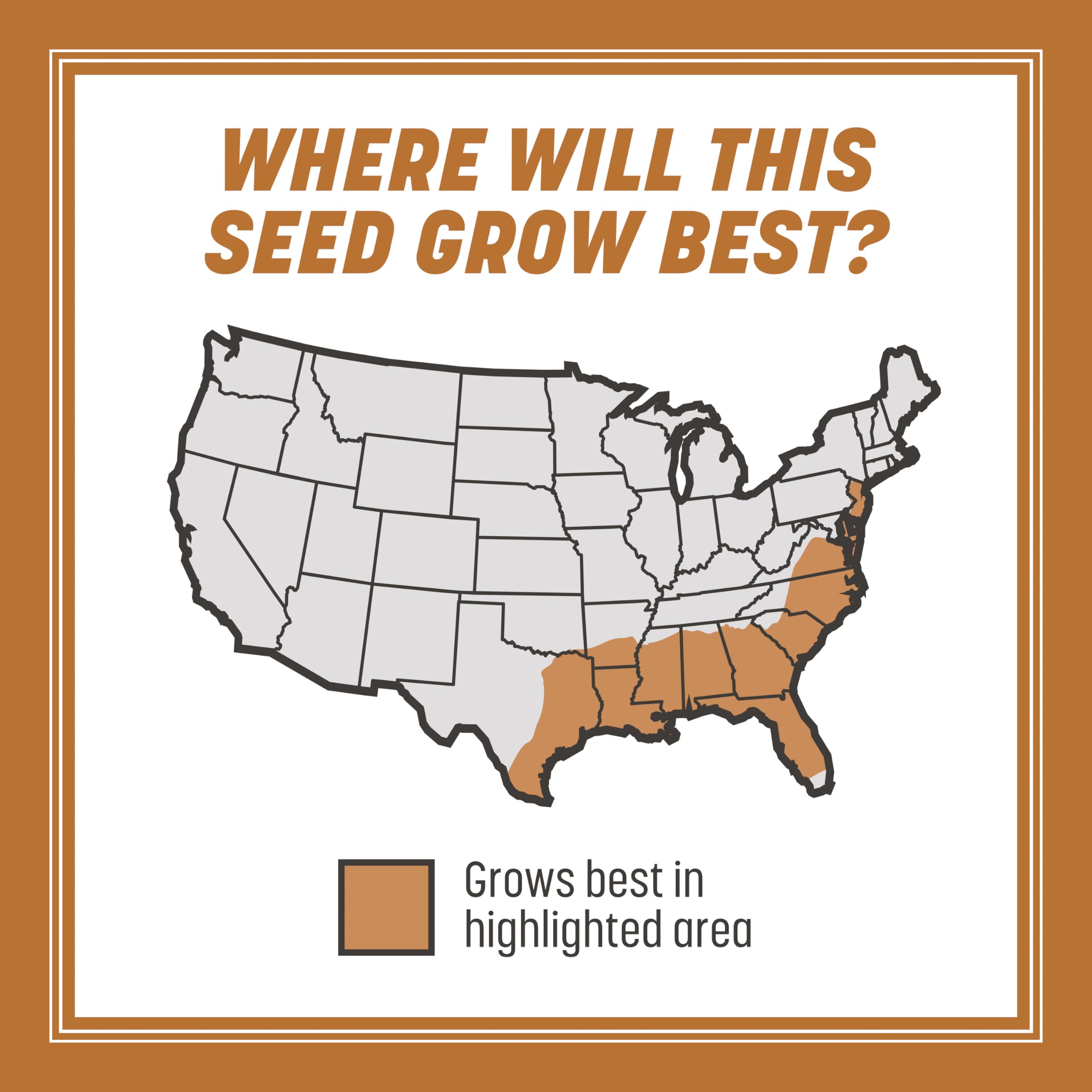 Pennington 100532365 Centipede Grass Seed & Mulch 5 LB, Black Label 5