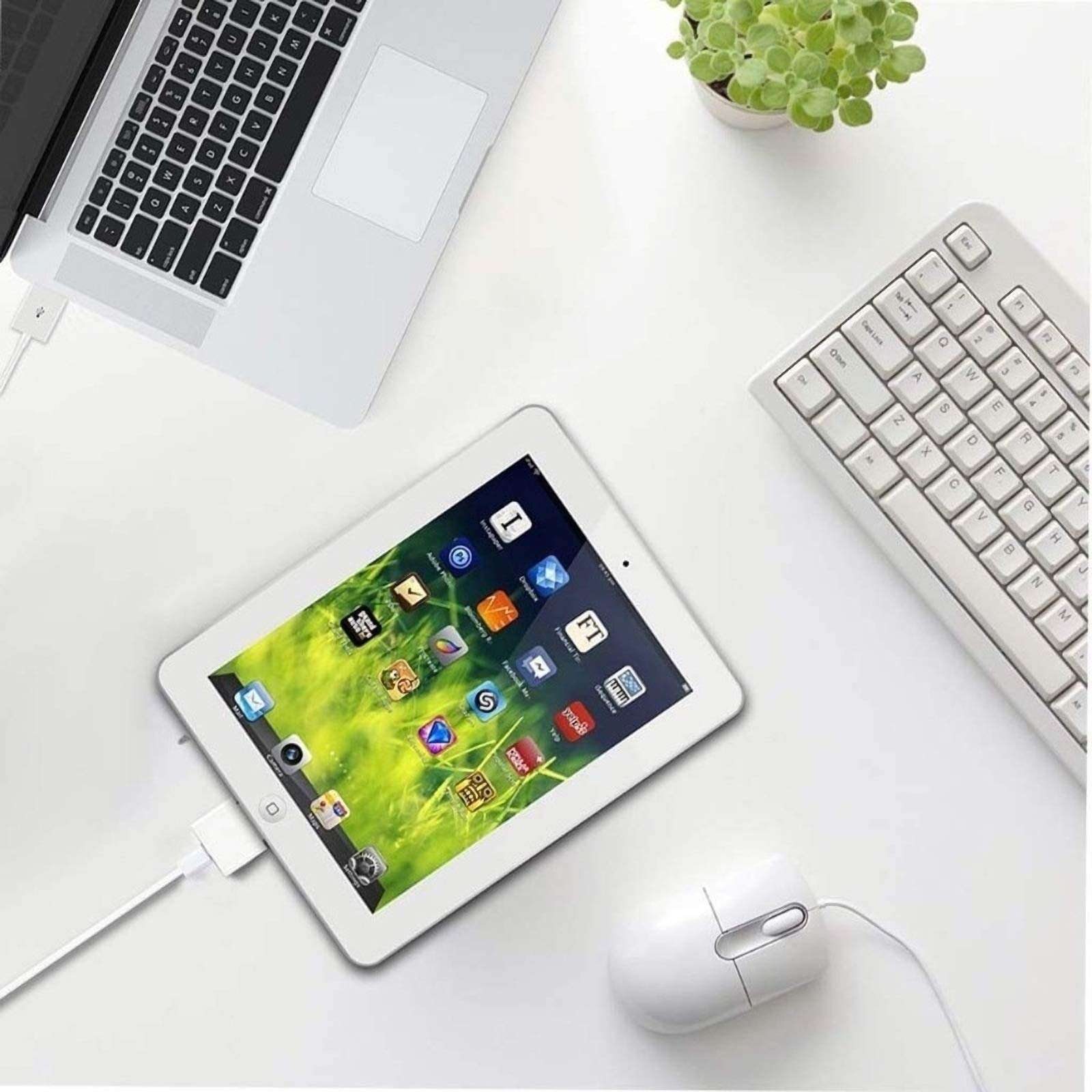 rosyclo 30-Pin to Lightning Adapter, MFi Certified 8-Pin Female to 30 Pin Male Dock Connector iPhone Charging Sync Converter Compatible iPhone 4/4s/iPad/iPod Touch White (No Audio) 6