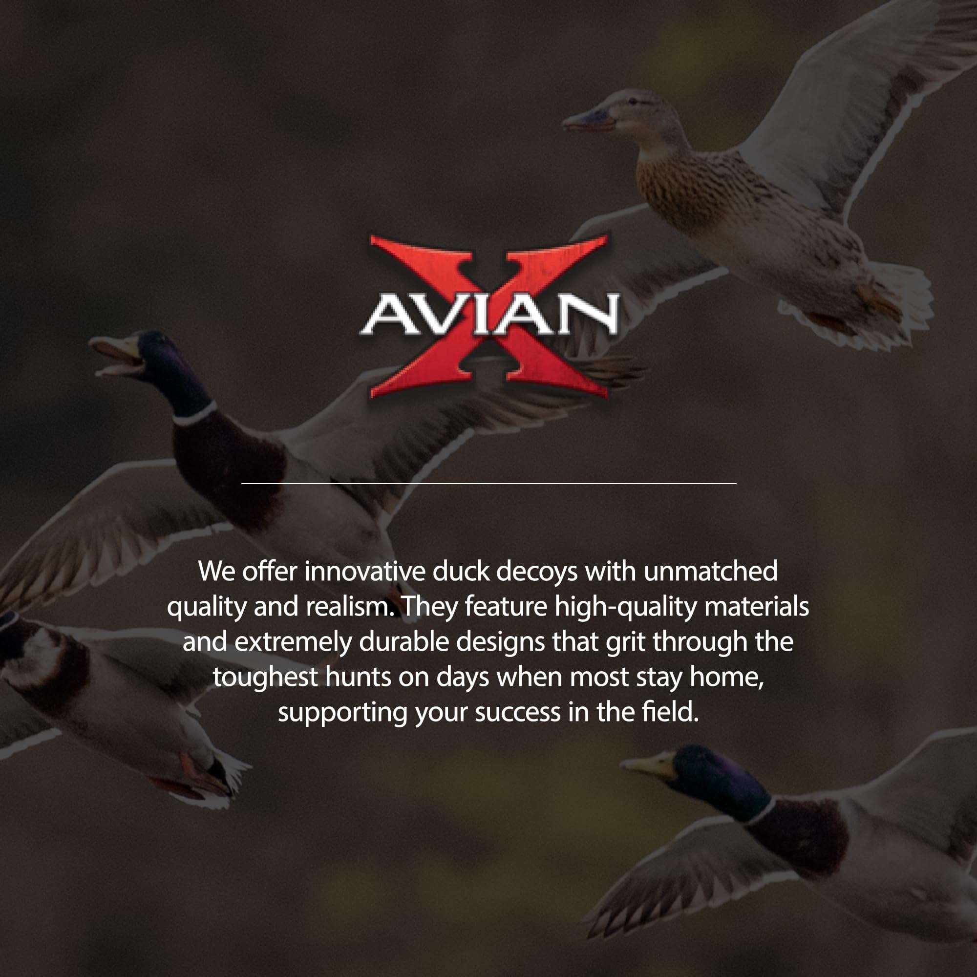 Avian X Topflight Black Realistic Duck Decoy Sets with Flocked Bodies, 6 Unique Postures, Weight Forward Swim Keel, & Durable No Flake Finish 5