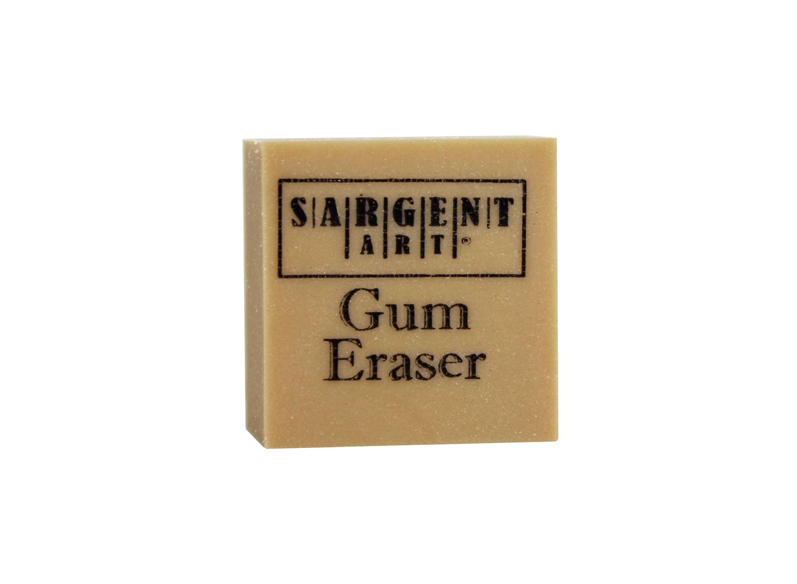 Sargent Art 24 Count Artist Mini Gum Eraser, 1" x 1" x 1/2" 5