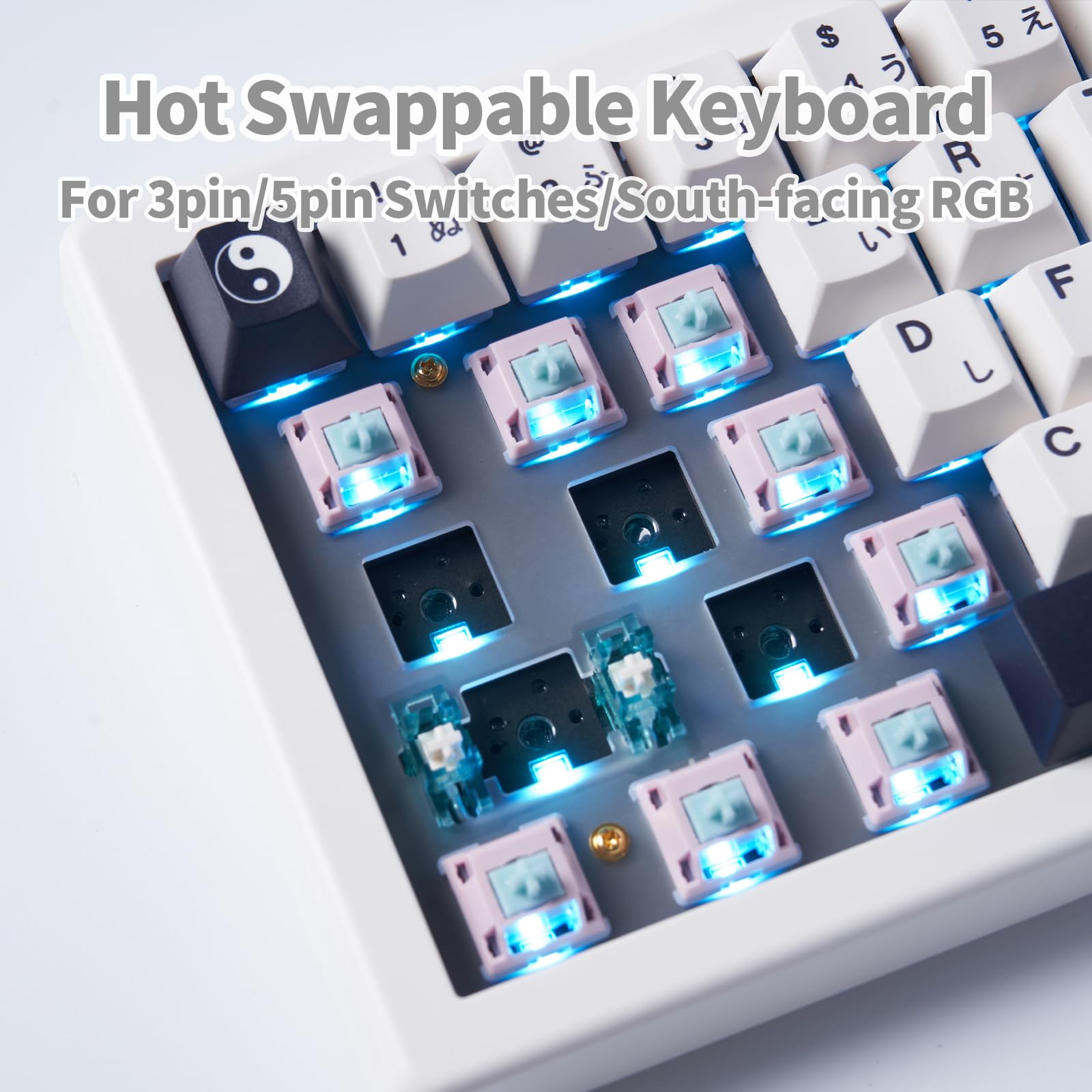 SUEHIODHY GMK67 White Japanese Mechanical Keyboard Hot-Swappable Bluetooth/2.4G/Type-C 65% Custom RGB Keyboard with Linear Lubed Switches VIA Programmable Volume Knob for Win/Mac/iOS 6