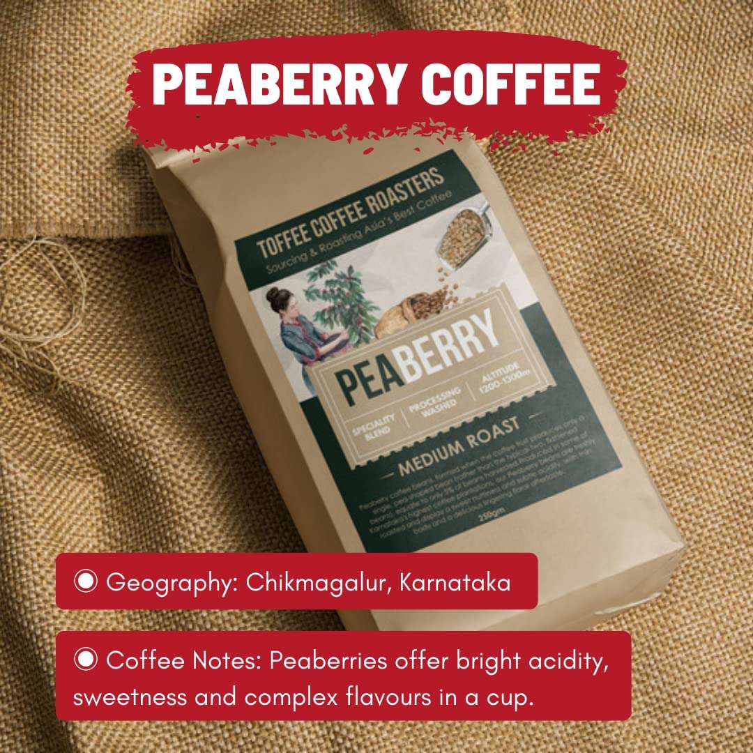 Toffee Coffee Roasters | Peaberry Coffee | Single Origin Coffee | 100% Arabica | Medium Roast | Coffee Notes: Sweet with Delicious Aftertaste | Grind: Cold Brew| Freshly Roasted | 500 gms 6