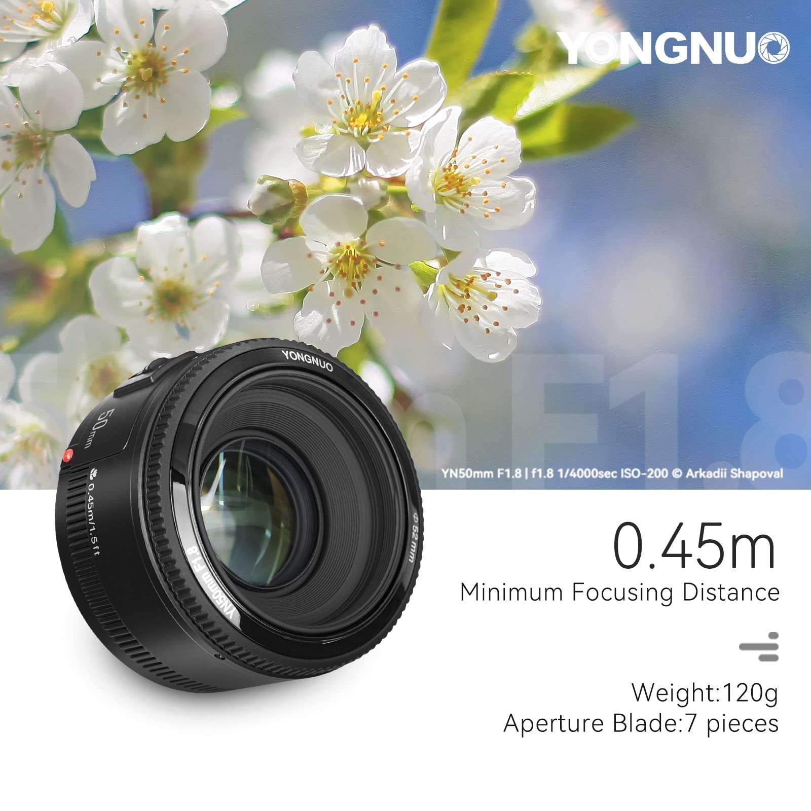 YONGNUO YN50mm F1.8C Lens, Large Aperture Auto Focus Lens, 50MM F1.8 for Canon EF Mount EOS Cameras Black 3