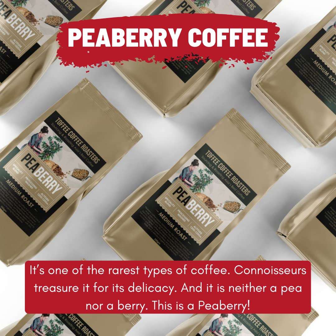 Toffee Coffee Roasters | Peaberry Coffee | Single Origin Coffee | 100% Arabica | Medium Roast | Coffee Notes: Sweet with Delicious Aftertaste | Grind: Cold Brew| Freshly Roasted | 500 gms 3