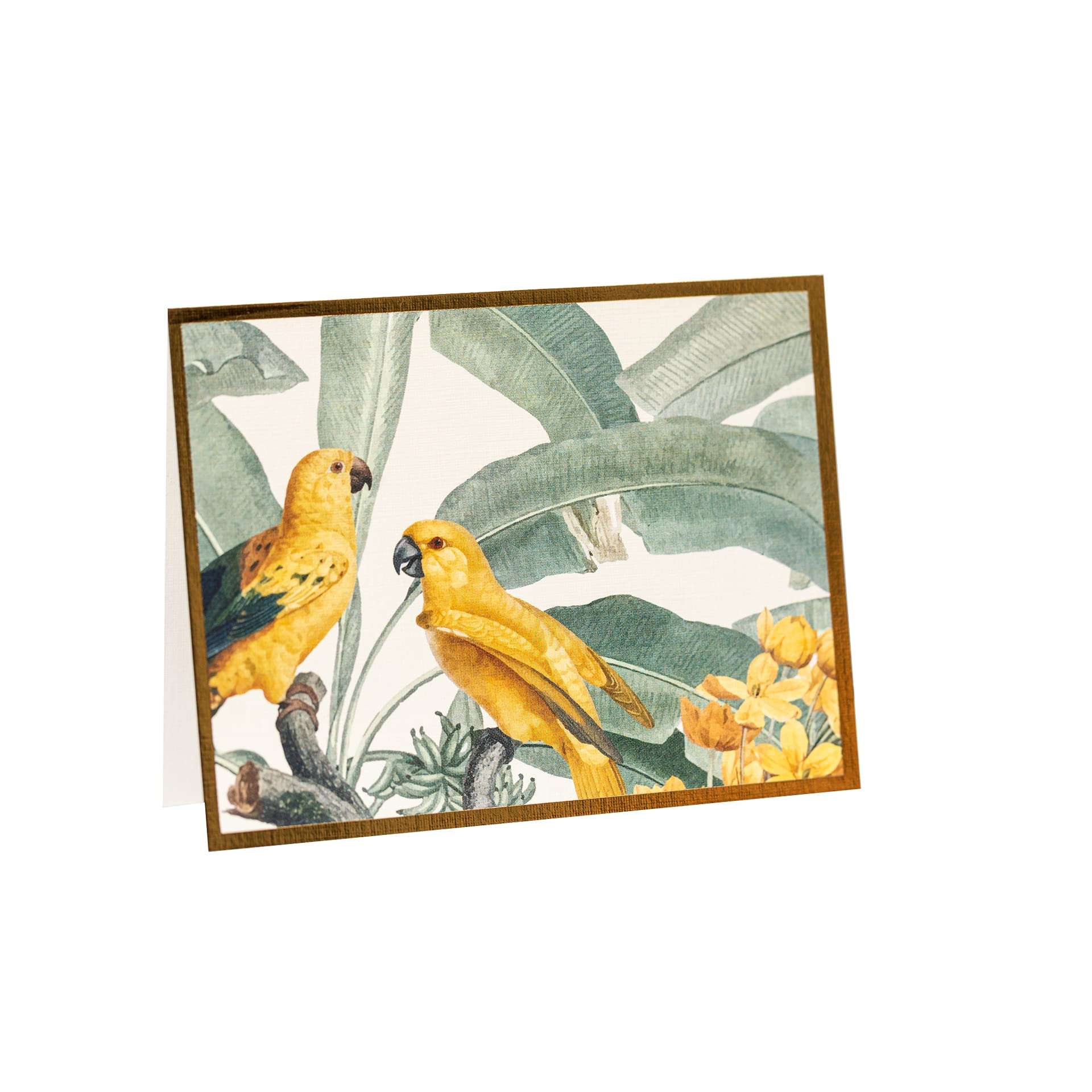 NEHA SINGH BHATIA Premium Folded Blank Gift Card with Envelope for Birthdays & Gifting | 250 GSM Cardstock & 100 GSM Envelope | Yellow & Sage Green Design | 9.2 x 11.8 cm | Pack of 10 3