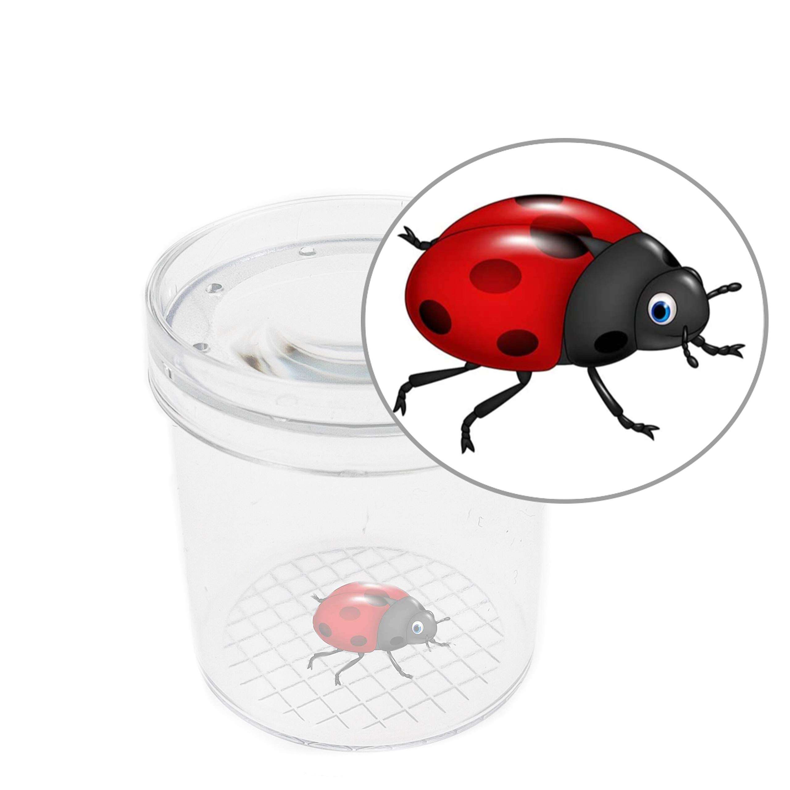 SimpleSS 8 Pieces Bug Viewer Critter Insect Cage Magnifying Insect Box Bug Magnifier Container Bug Catcher Cage, Science Nature Exploration Tools 3