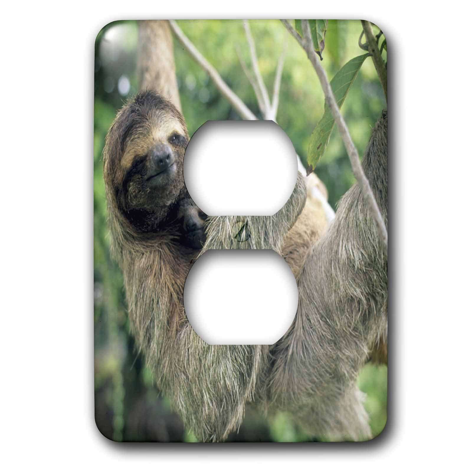 3dRose lsp_87218_6 Three-Toed Sloth Wildlife, Corcovado Np, Costa Rica Sa22 Ksc0137 Kevin Schafer 2 Plug Outlet Cover 1