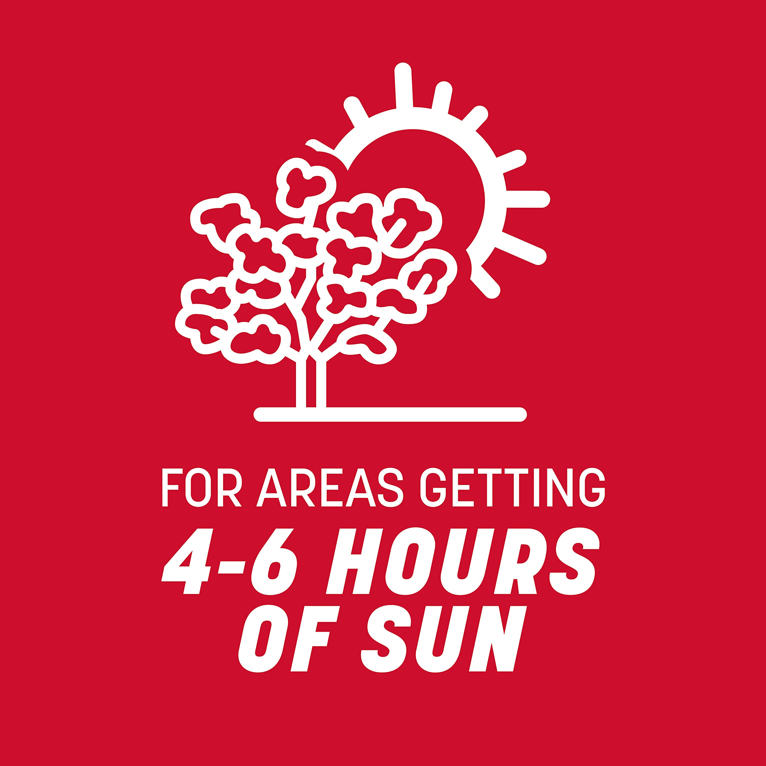 Pennington The Rebels Tall Fescue Grass Seed Mix 20 lb 6