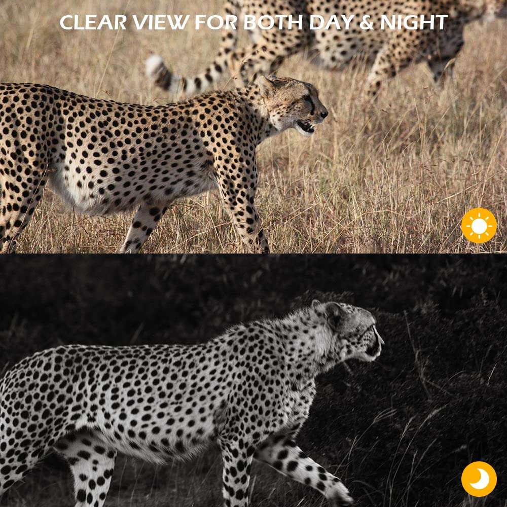 DUEBEL Digital Night Vision Goggles, 4K Night Vision Binoculars for Adults, can Save Photo and Video | 656yd Range, 8X Digital Zoom | Tactical Color Perfect for Hunting, Survival Gear, Security Etc. 3