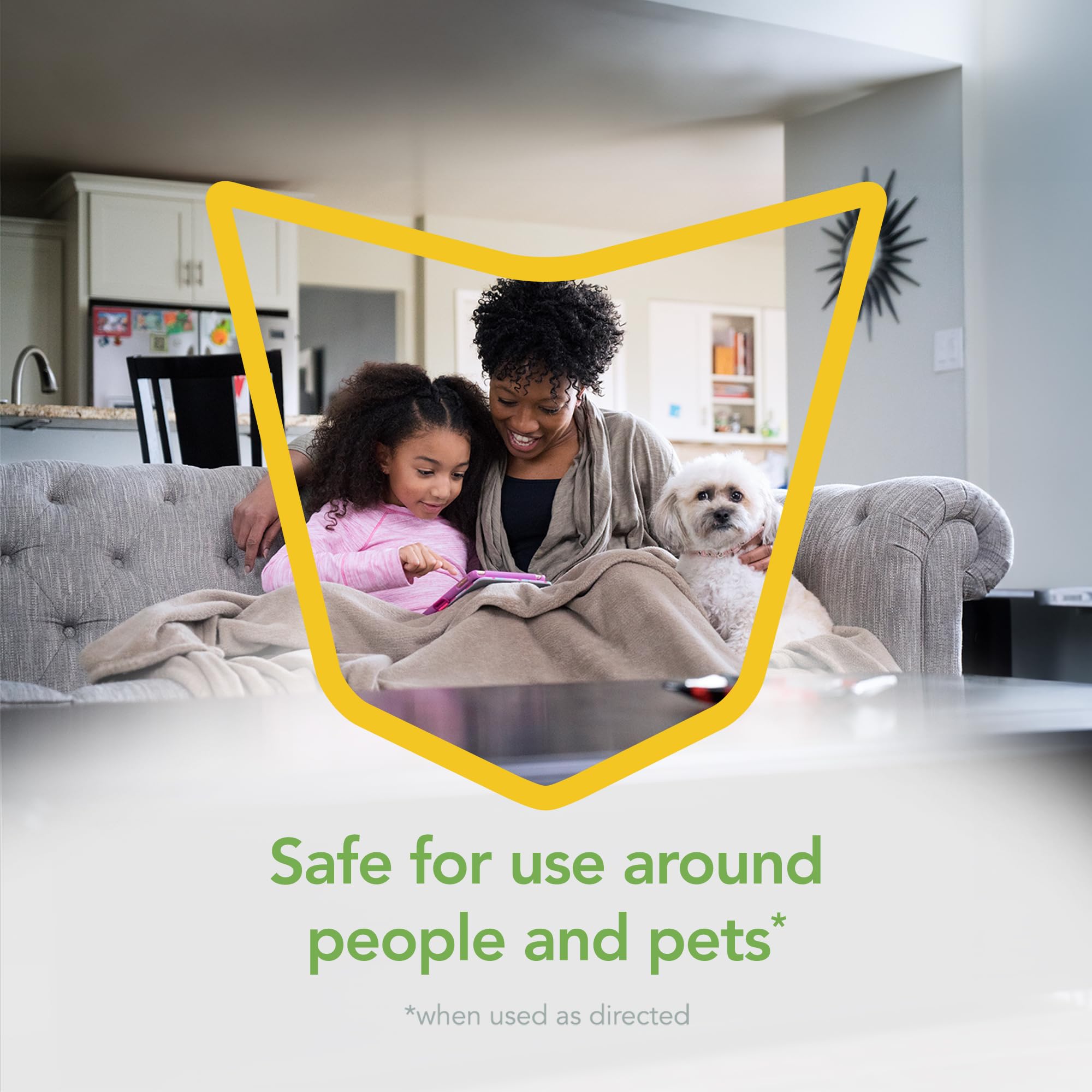 Raid Essentials Multi-Insect Killer Spray Bottle, Child and Pet Safe, for Indoor Use, Lemongrass Scent, 12 fl oz 2