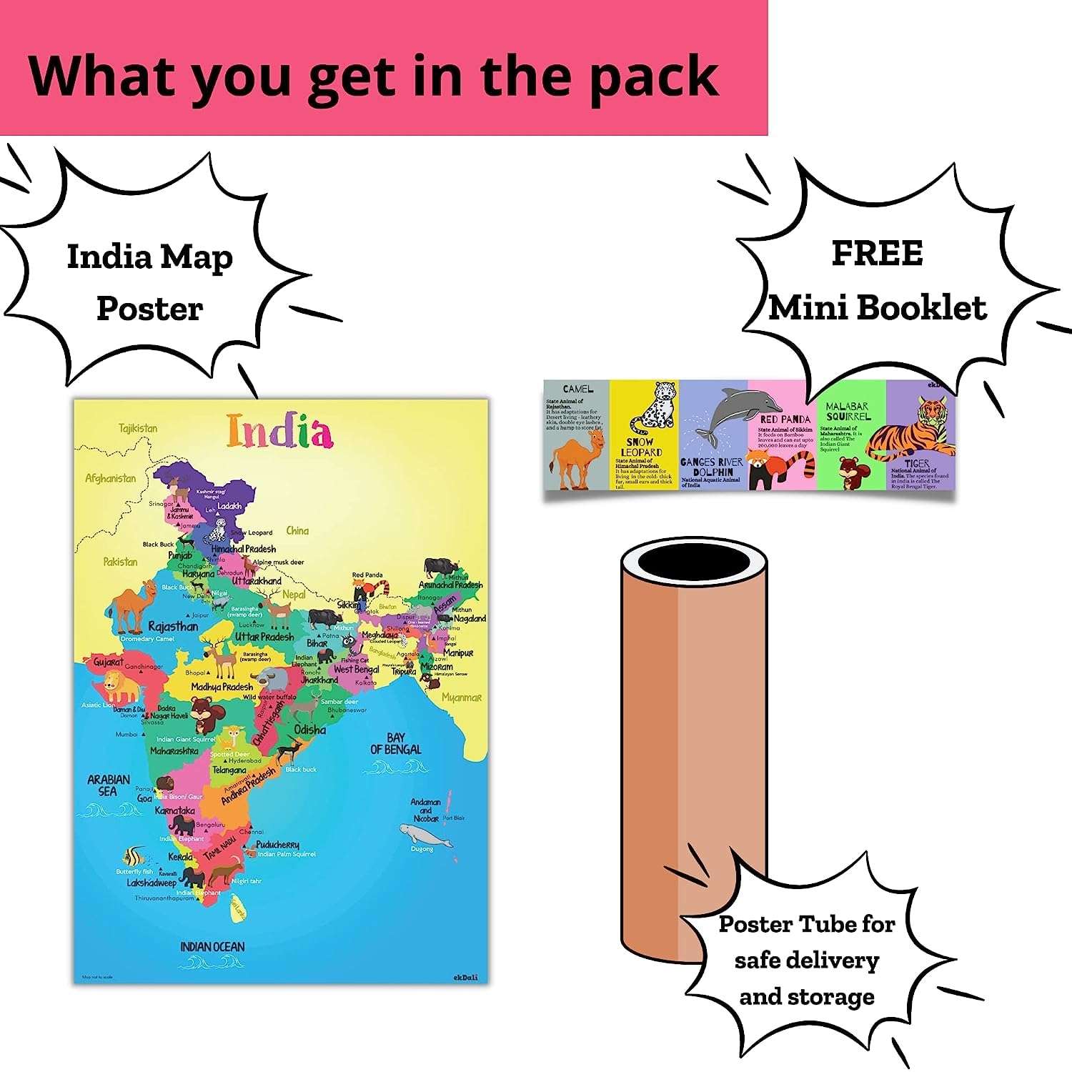 EKDALI India States of India Map with Animals Poster for Kids | Educational Learning India | india map for kids for Kids, Boys, Girls & Children Size :-16.5 X 23.4 inches (Multicolor) 5