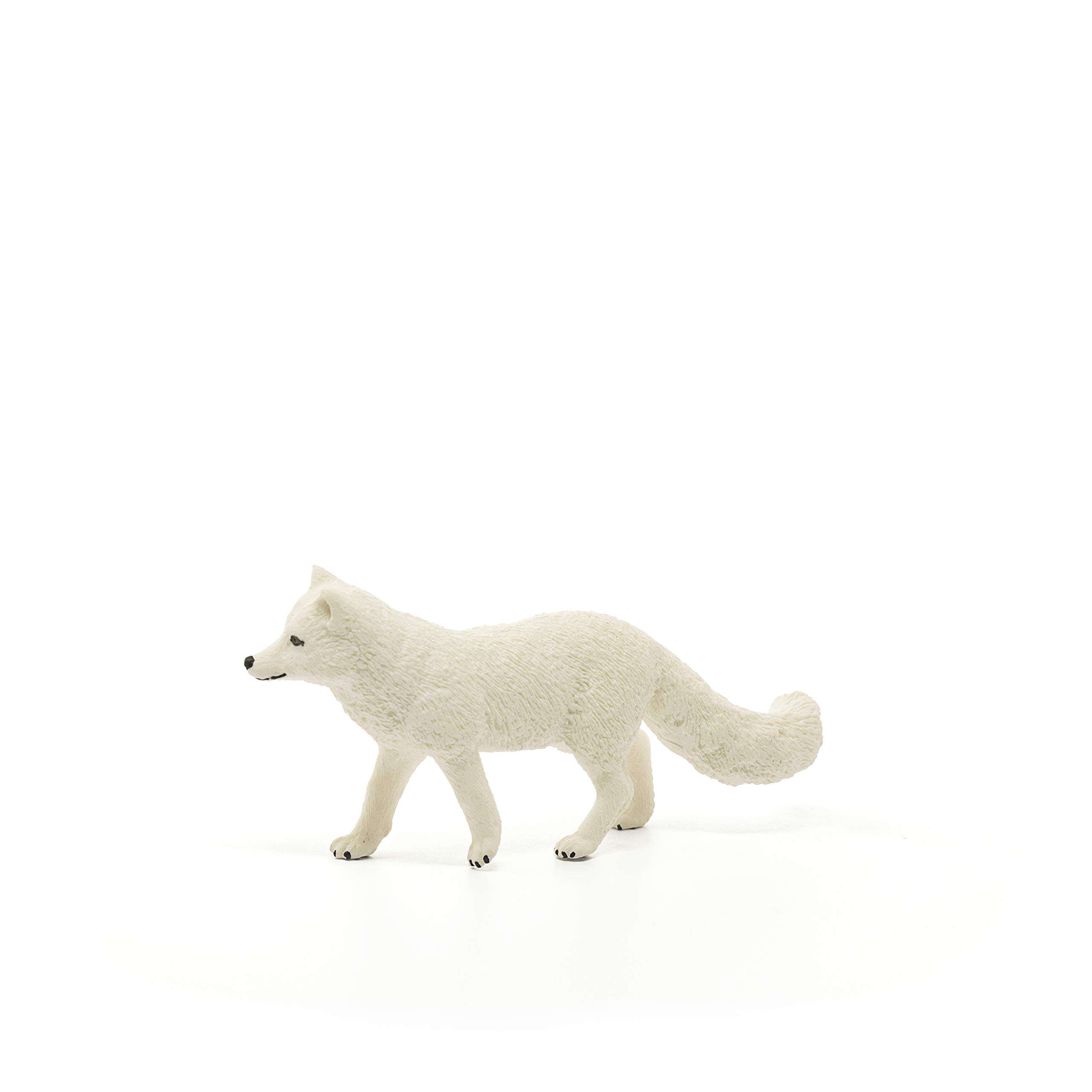 Schleich Wild Life, Animal Figurine, Animal Toys for Boys and Girls 3-8 Years Old, Arctic Fox 3