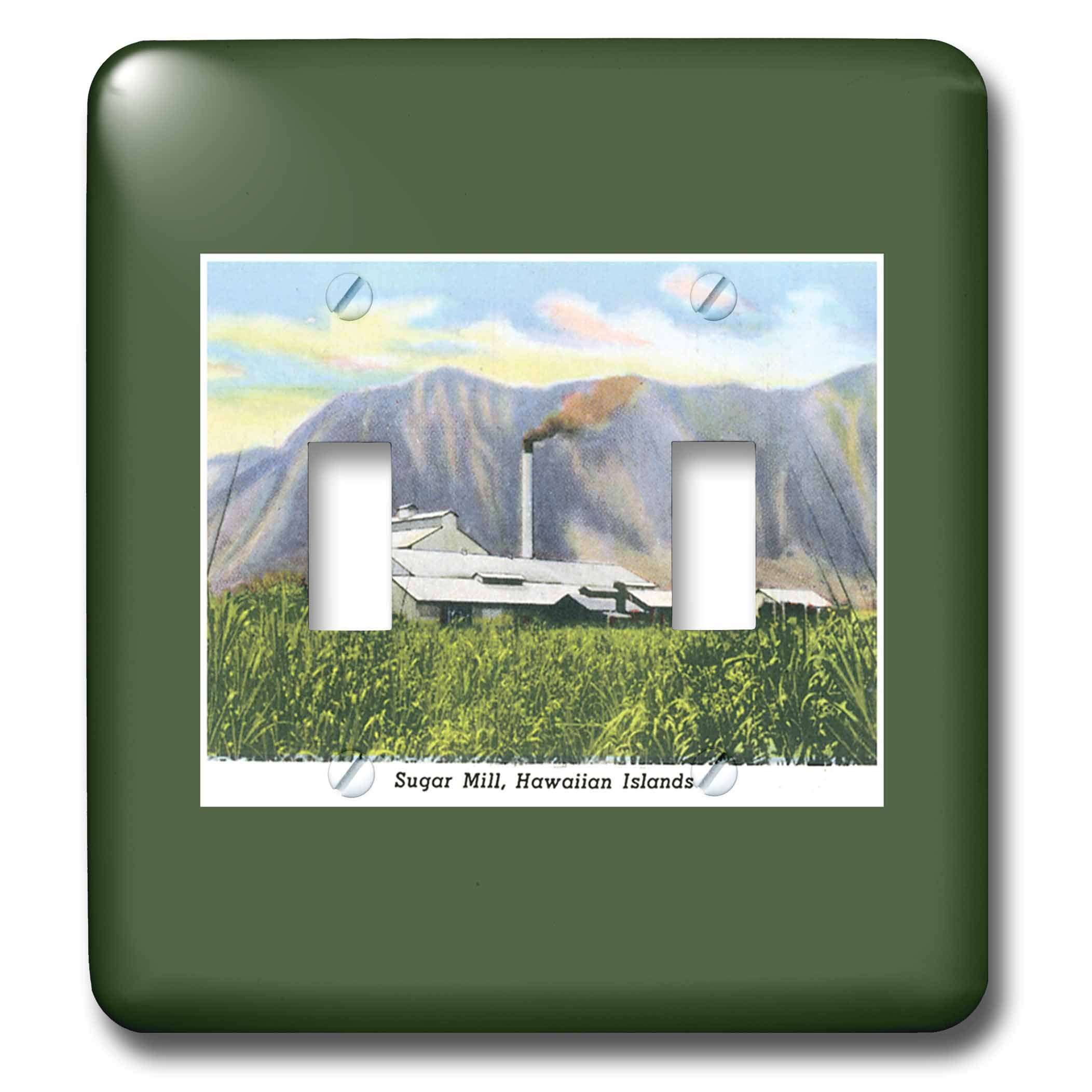 3dRose LSP_169767_2 Toggle Switch 1