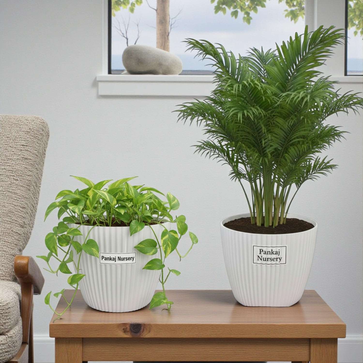 Pankaj Nursery Plastic Round Mega Indoor and Outdoor Pot | Color : White | Pack of 2 (11 Inches) 5