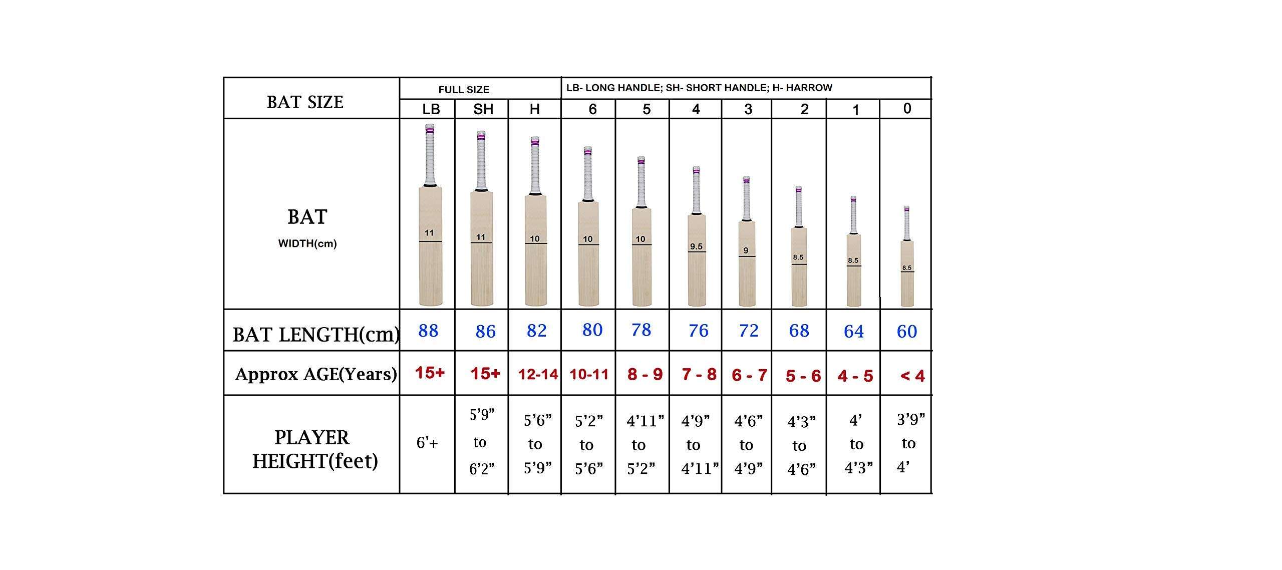 GM Six6 606 English Willow Cricket Bat Short Handle Mens 3