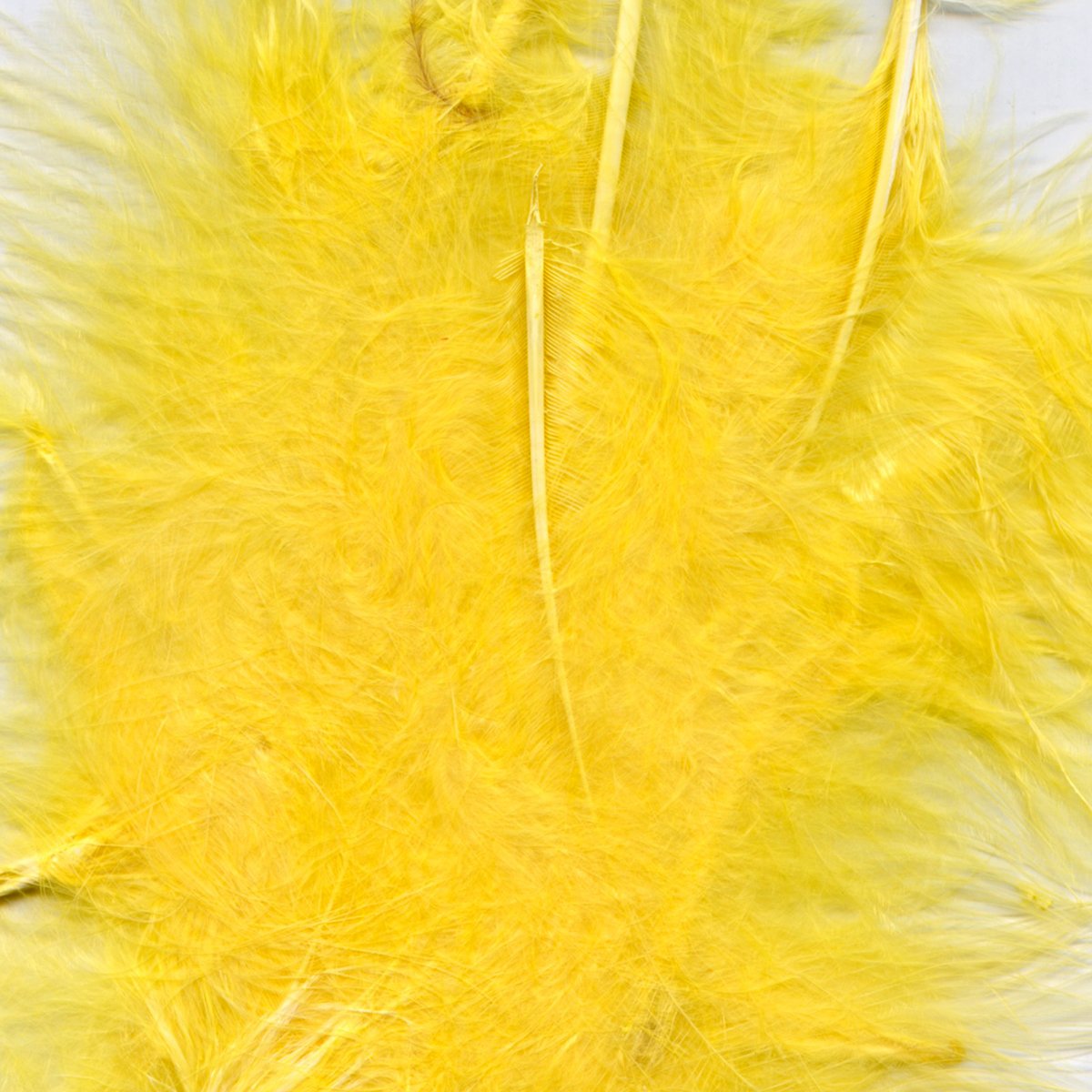 Eleganza OA644427 Craft Feather, 3-5 inch Size, Yellow No. 11