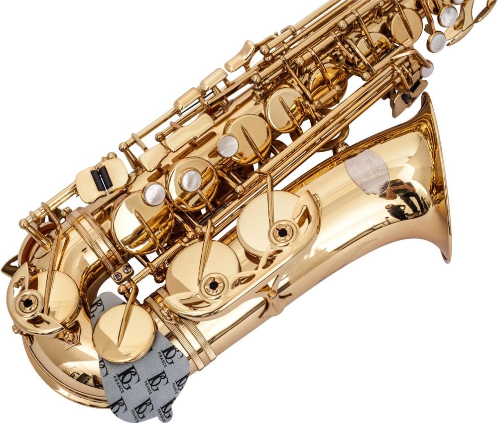 BG(0002698761) Saxophone Cleaning and Care Product (A65S),gray 5