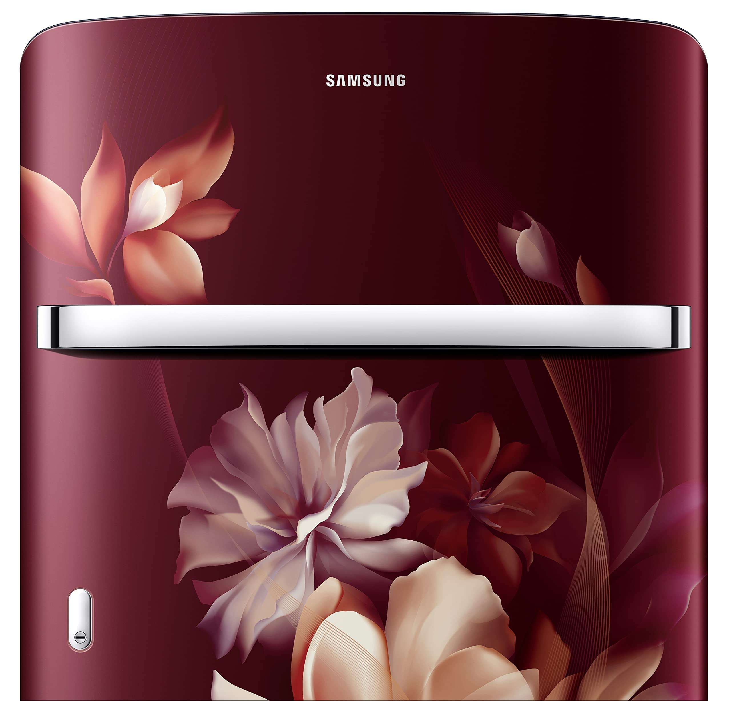 Samsung 198L 5 Star Direct Cool Single Door Digital Inverter Refrigerator (RR21B2H2WRZ/HL, Midnight Blossom Red, 2022 Model) 4