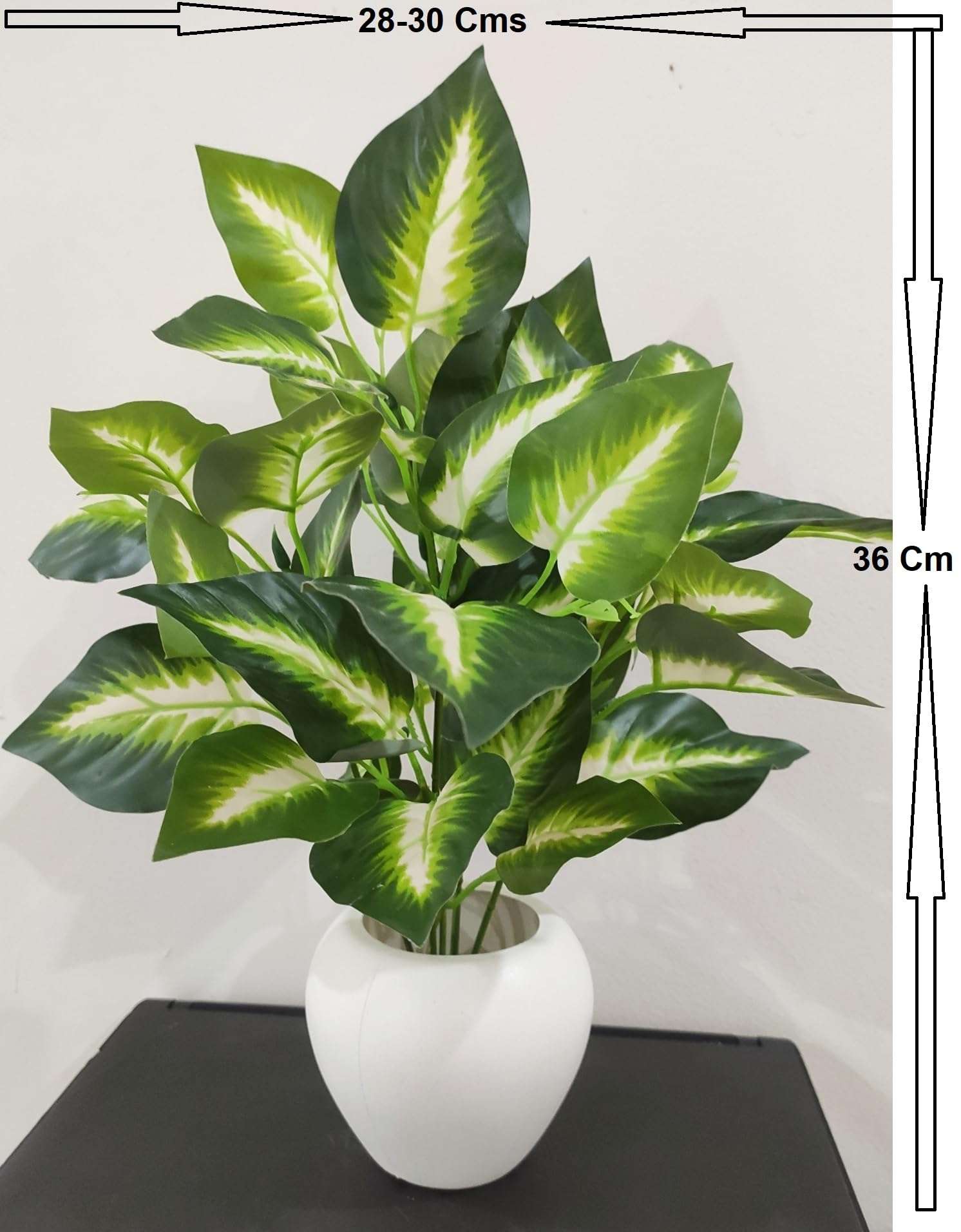 BAARIG Natural Looking Artificial Money Plant/Tree with Pot | Ornamental Plant for Interior Decor | Home/Shop/Office Décor (Green-White) 4