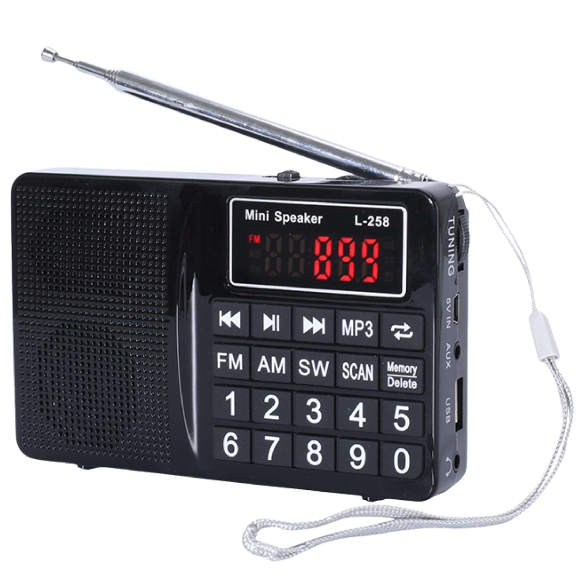 Multi-Band Plug-in Card Radio with FM, AM, SW, MP3 Player, USB Charging (Black) 1