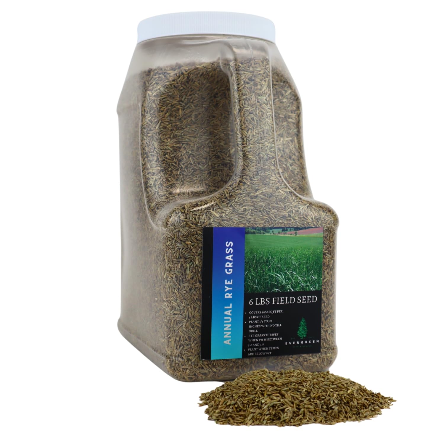 Rye Grass Annual Field Seed by Evergreen Farm and Garden (6 Lb Jug) 1