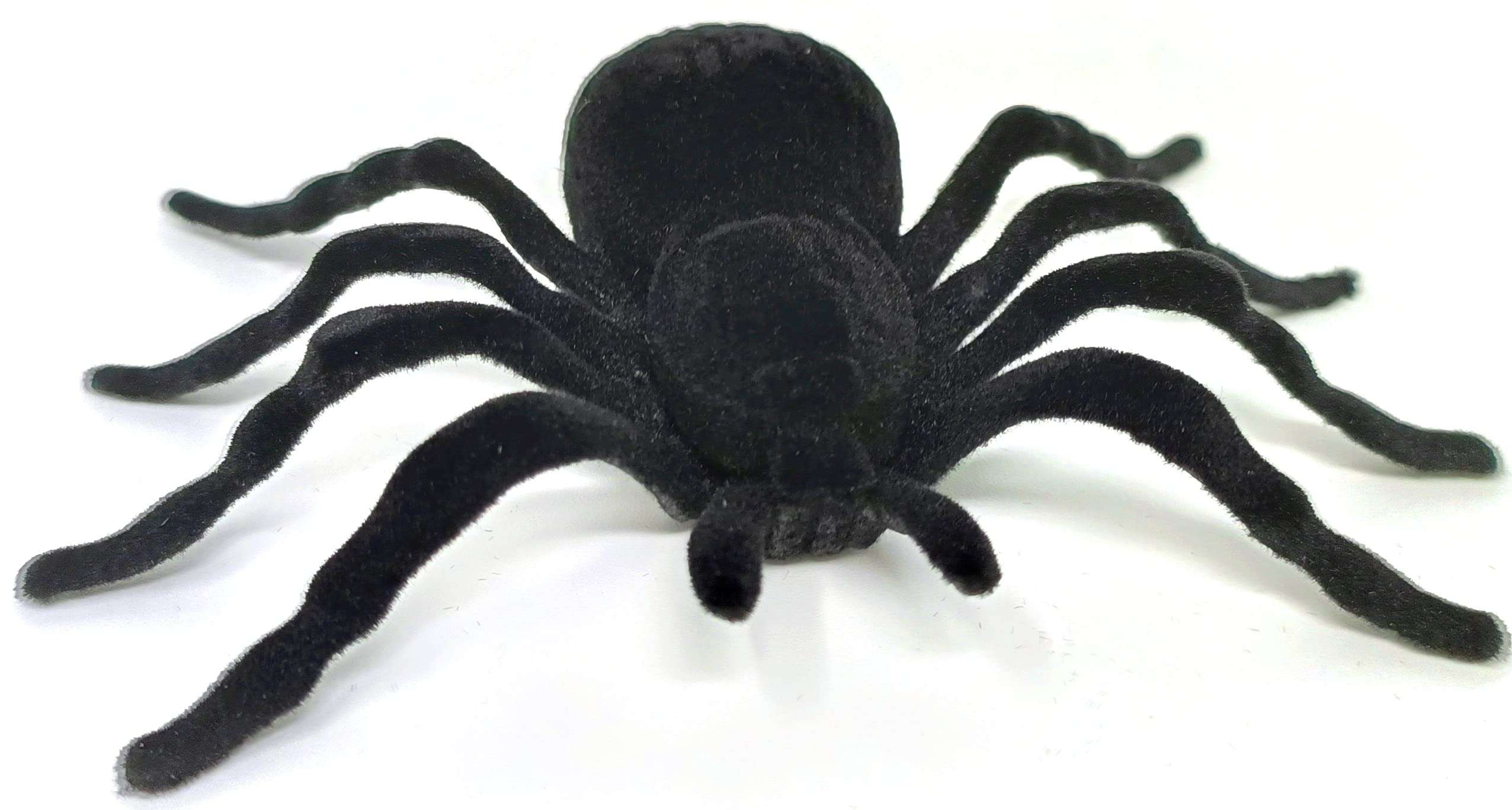BEAU STUTI Realistic Looking Black Spider Toys for Kids and Everyone's Prank and Fun (Pack of 2) 4
