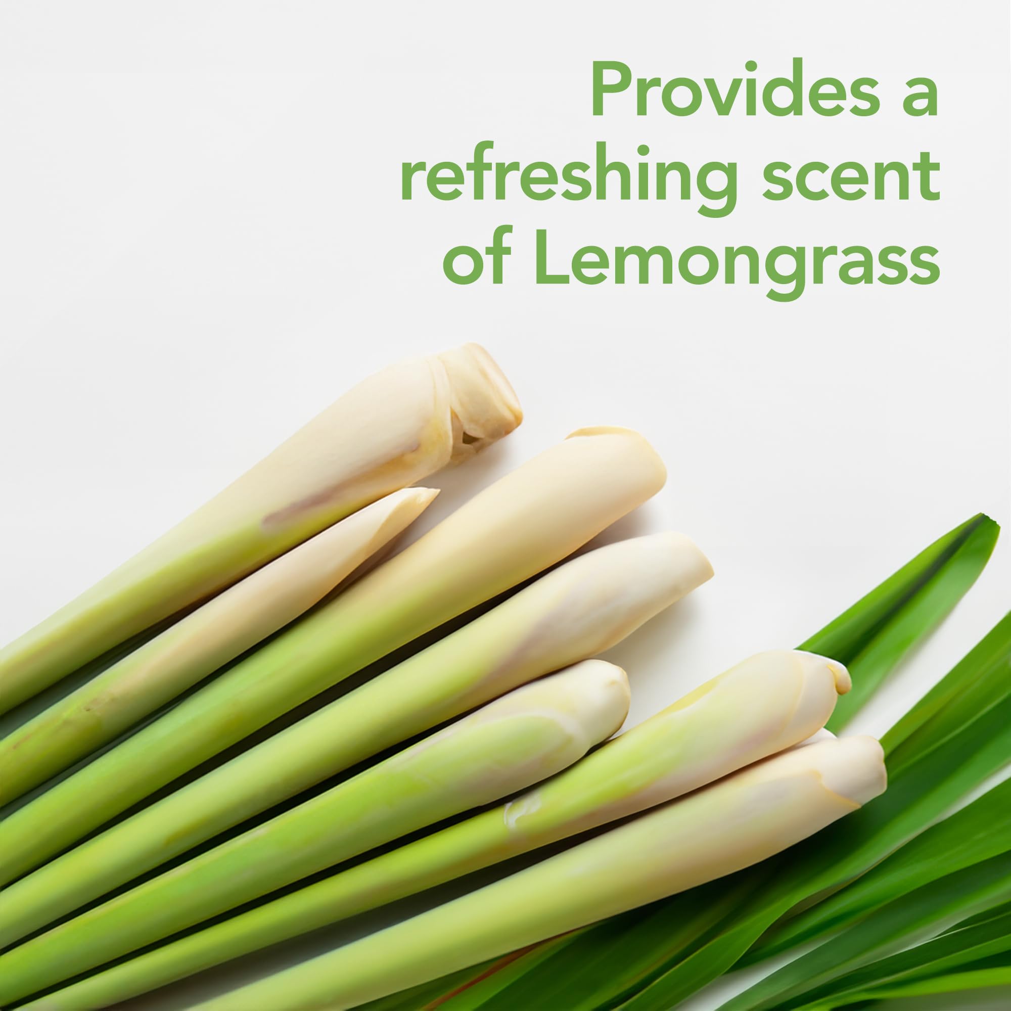 Raid Essentials Multi-Insect Killer Spray Bottle, Child and Pet Safe, for Indoor Use, Lemongrass Scent, 12 fl oz 4