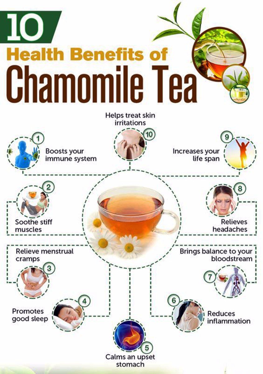 The Indian Chai Organic Chamomile Tea (8.82oz/ 250g) | Certified Organic | Detox Tea - Calming Tisane - Herbal Tea - Caffeine Free - Whole Flowers | 6